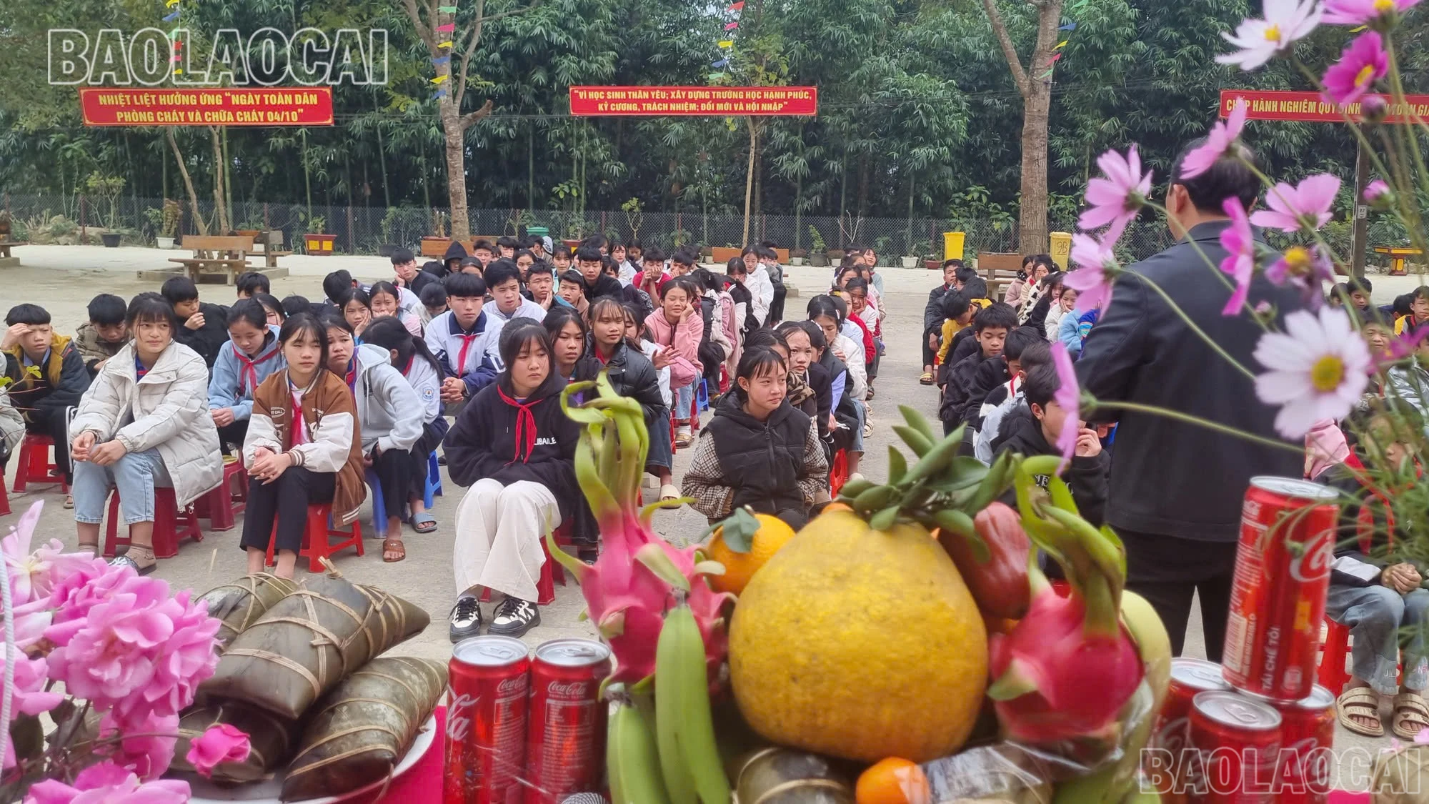 baolaocai-br_z6260970387680-0340fd2aec1d927a9db20195dca498fc.jpg