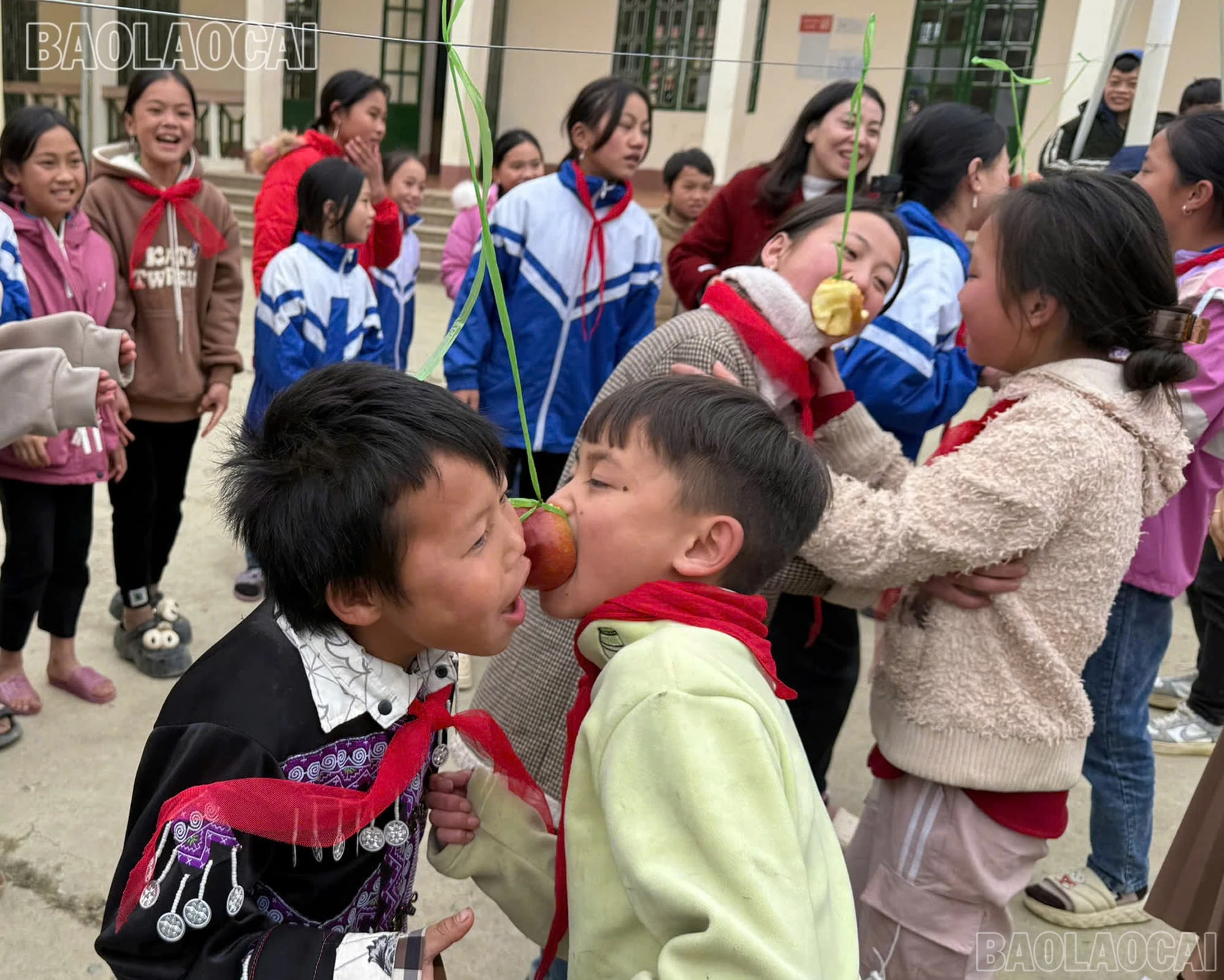 baolaocai-br_z6260970410100-19cb5627bd2e1ae4804a853868e0aa37.jpg