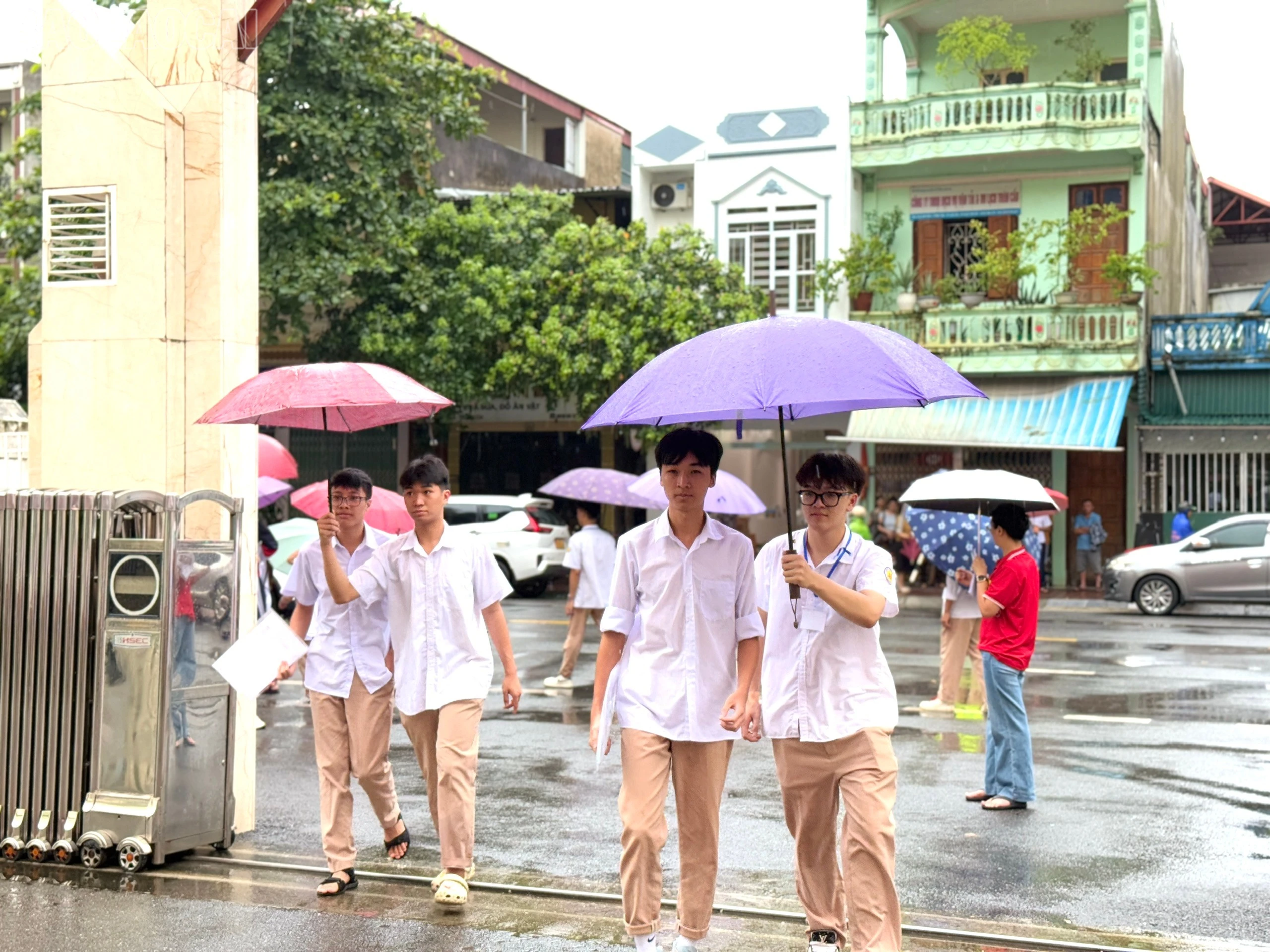 baolaocai-tl_z6743427857243-f3264e8abff0298b54e94ee231d257a5.jpg