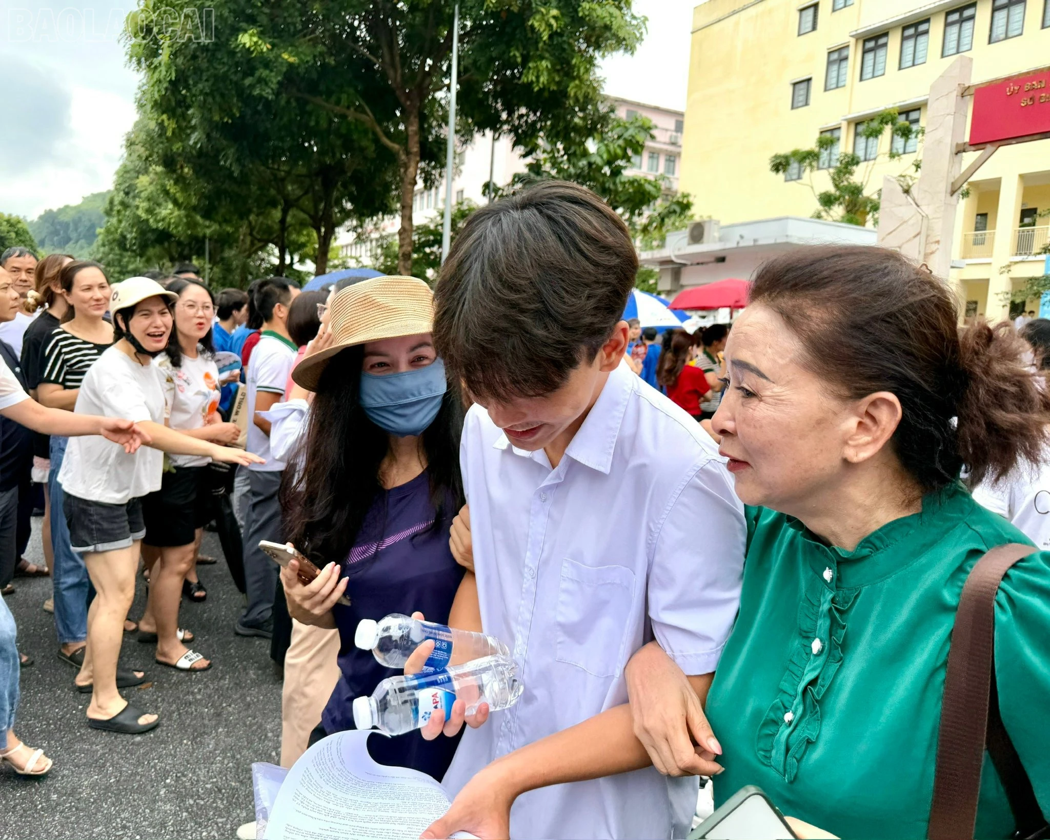 baolaocai-tl_z6743432707954-d7903a046209ebc15a8a73d0c99be6ee.jpg