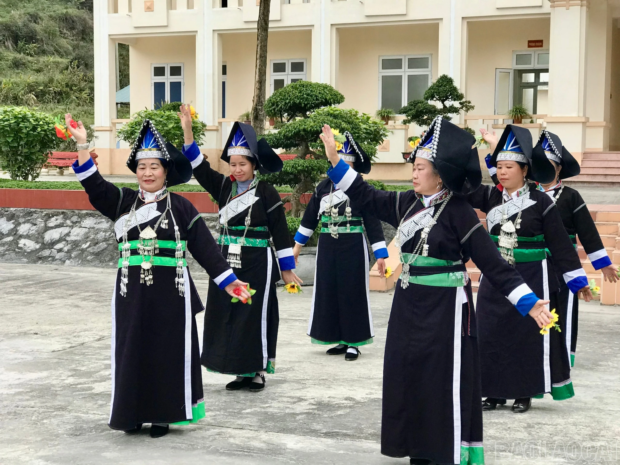 baolaocai-br_z6298308563594-0efb650d6ac822b7ccf333553d16efd9.jpg