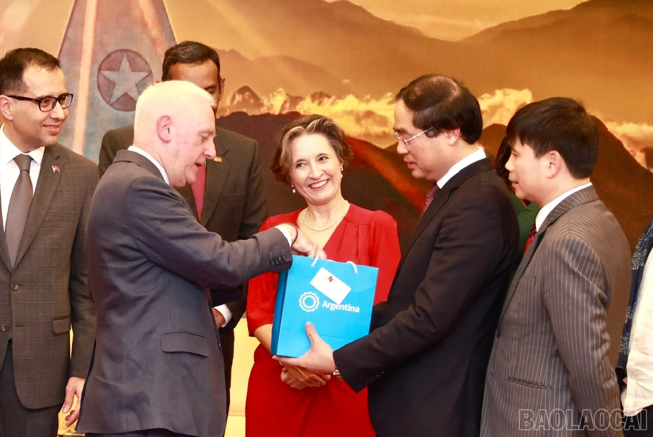 baolaocai-br_z6405822624204-ed09df0034fe1100682bb4f47e77082c.jpg