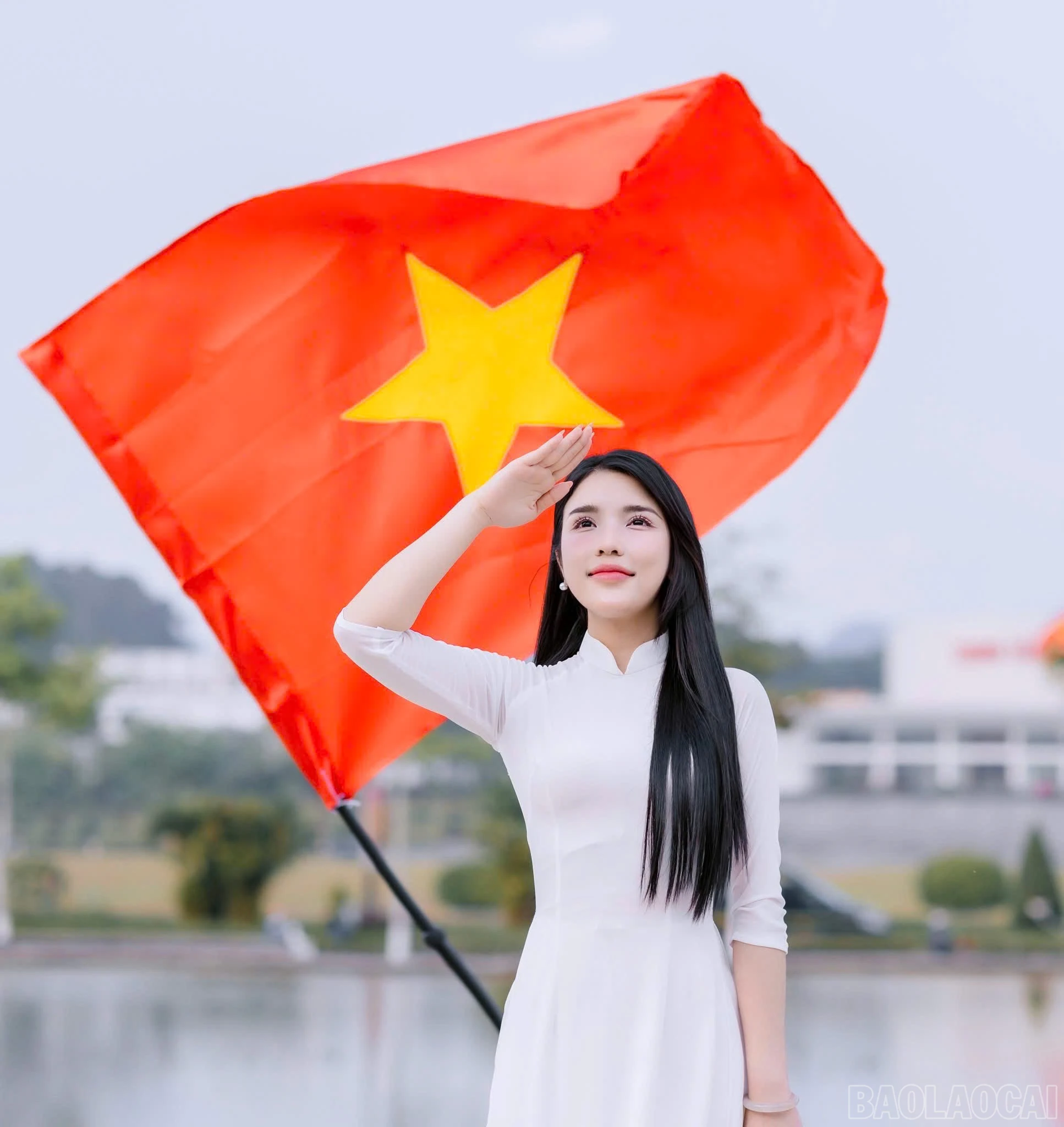 baolaocai-br_z6547527311938-37fd58f490575bb4f128823bc09d7b3e.jpg