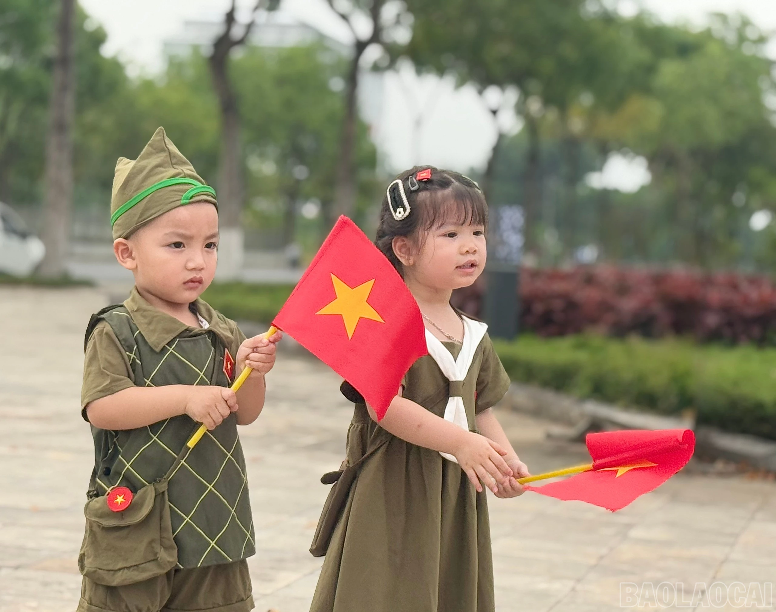 baolaocai-br_z6550107463764-64acc957dcbf8f3dfede212bfc65571b.jpg