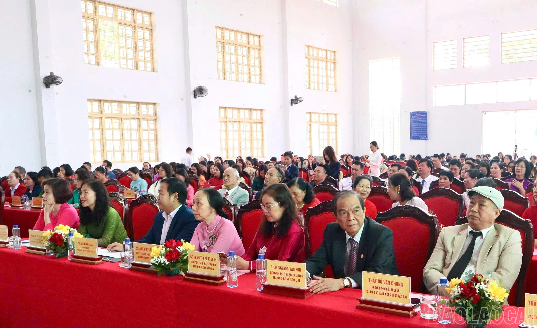 baolaocai-br_z7222840448248-6846a830b0532aaceae9e8287d206264.jpg