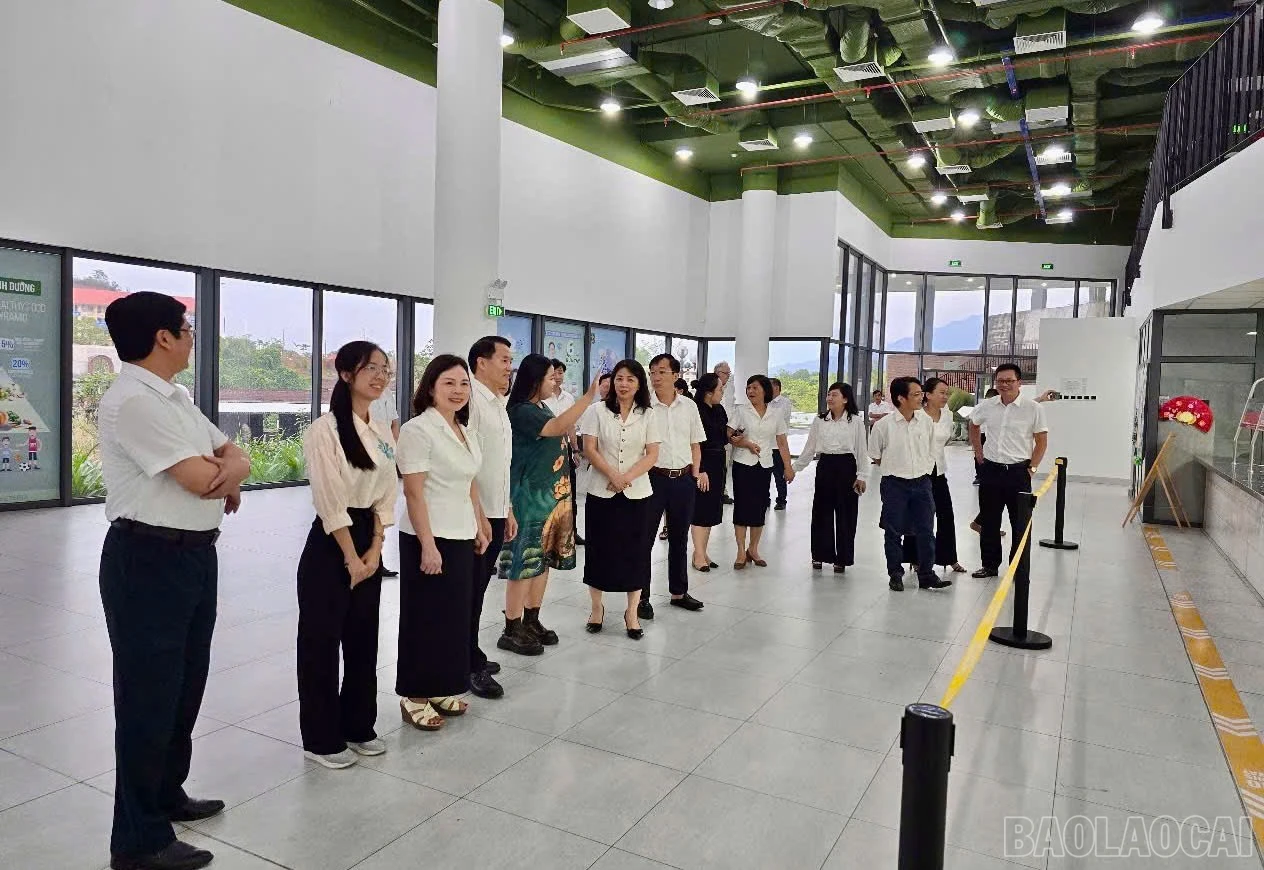baolaocai-br_z6635807662392-8d0c6c76dc5286da1e7a051d1b1715ce.jpg