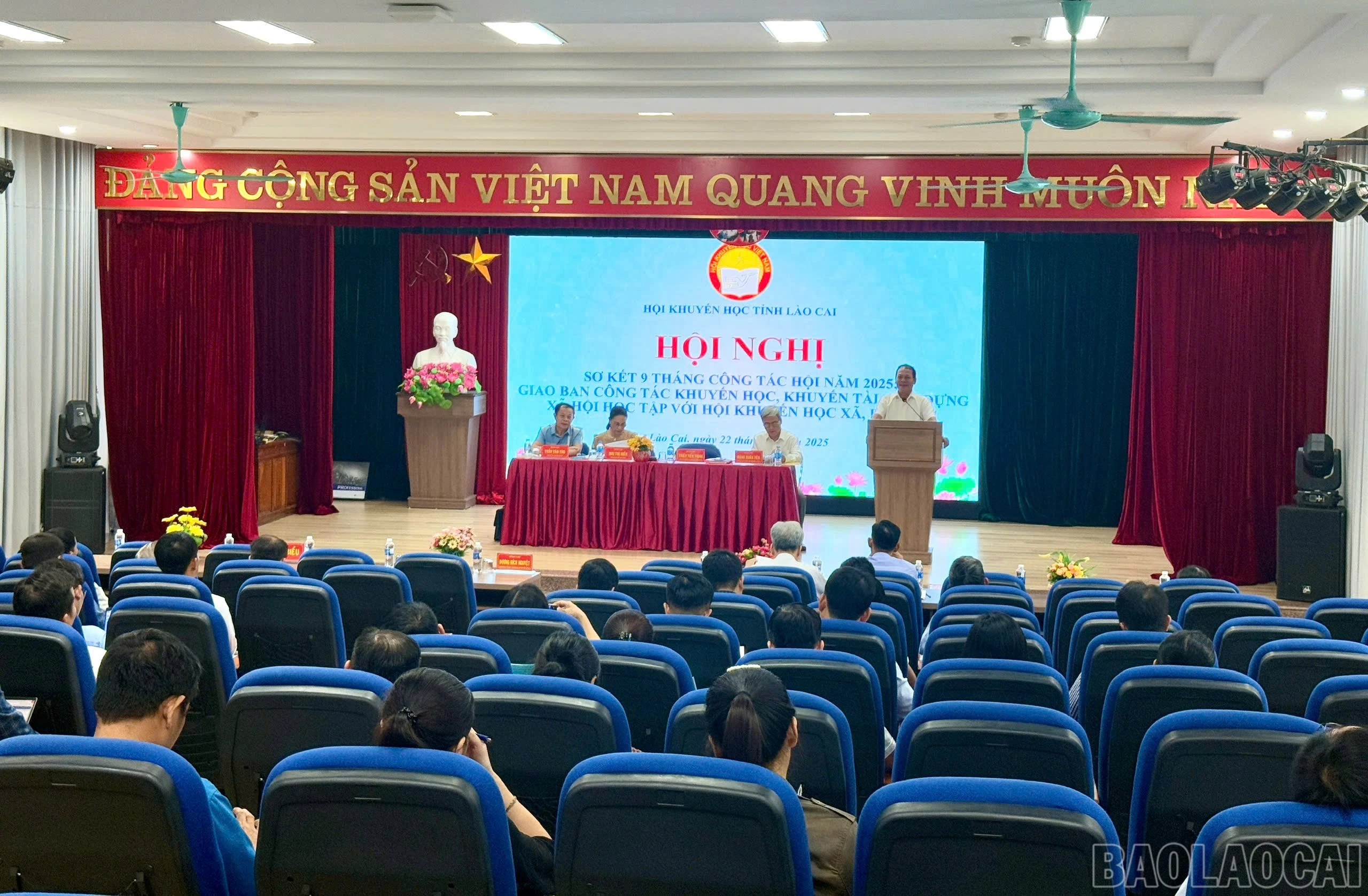 baolaocai-br_z7143836780344-d779b898a2f1e38f5c82525ad6437048.jpg
