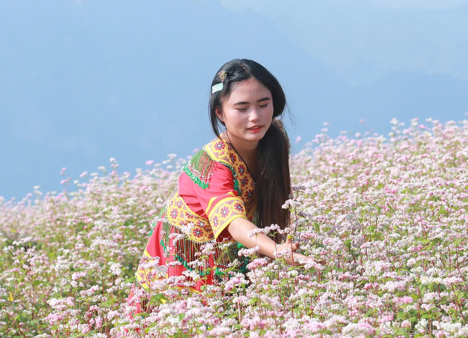 baolaocai-br_z6600789736116-6280331ed59ebaee22bc2d1274a0e2e6.jpg