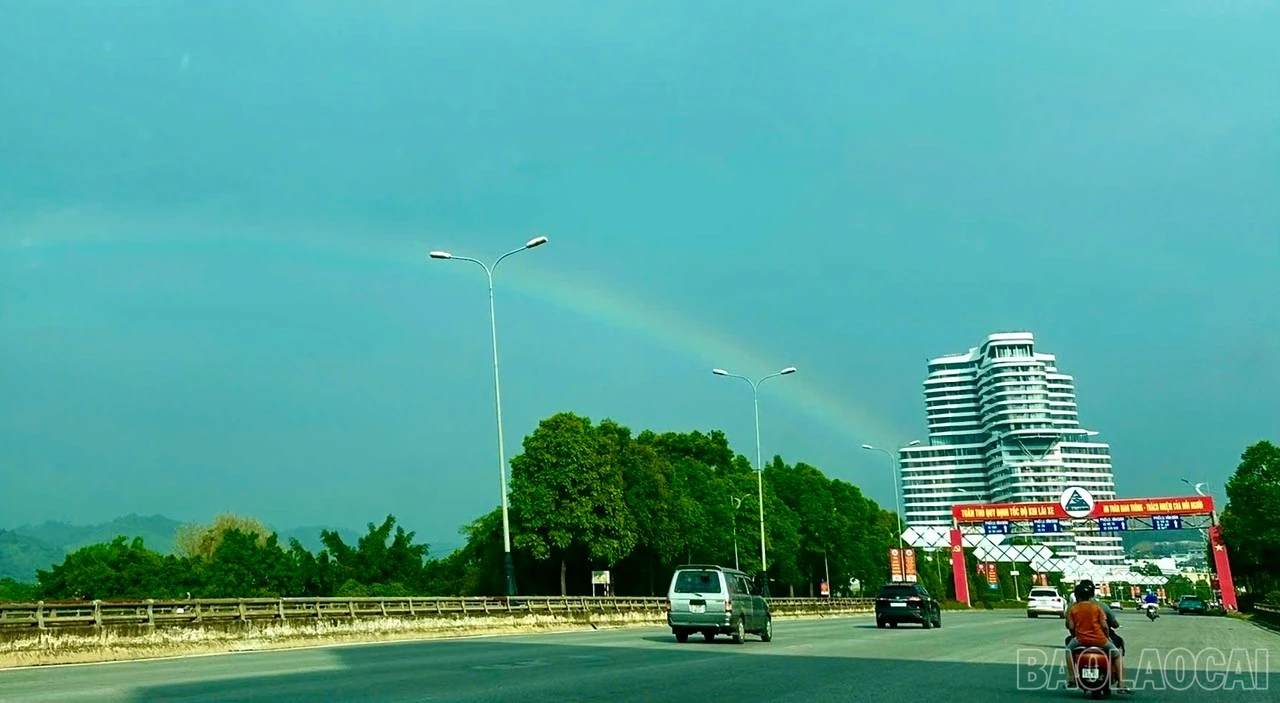 baolaocai-br_z6604654517636-a6a22d990f92d799975ccd8a0193ca3d.jpg