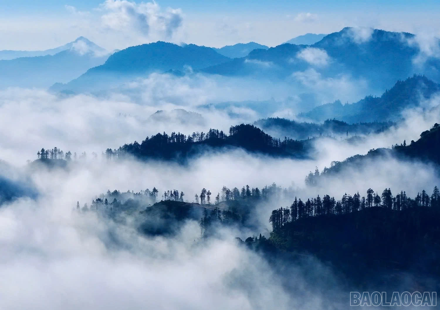 baolaocai-br_z6600789658078-b5b4af79cd3ea43eb7f4ceae46abcca6.jpg