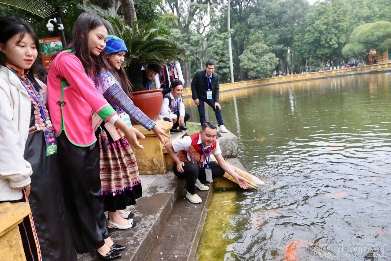 baolaocai-br_z7371396277460-74cc7c34a59f645752ba9d9b894ab68b.jpg