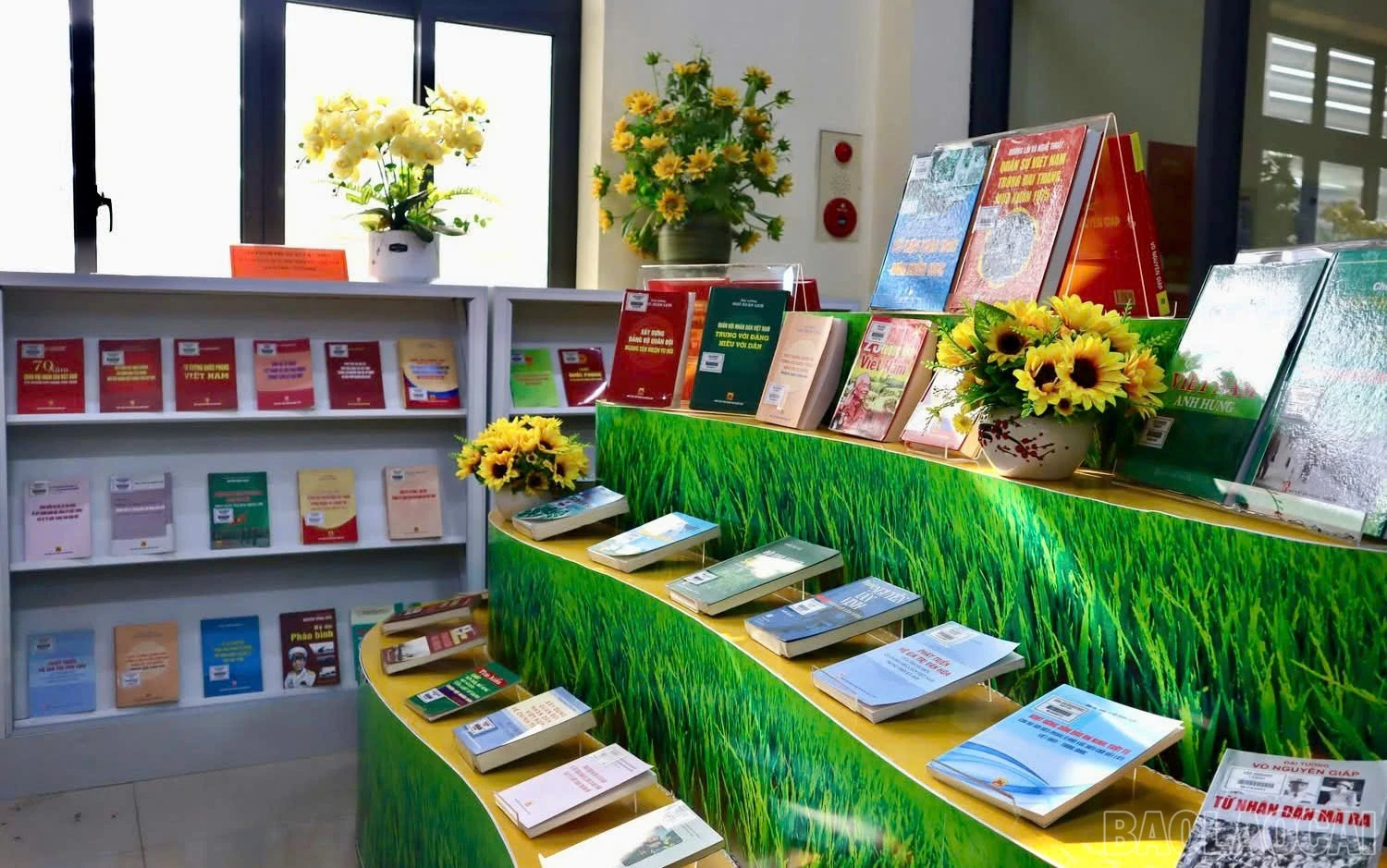 baolaocai-br_z7349447455761-283ba5ec2735551da0ba0f73ad02c61e.jpg