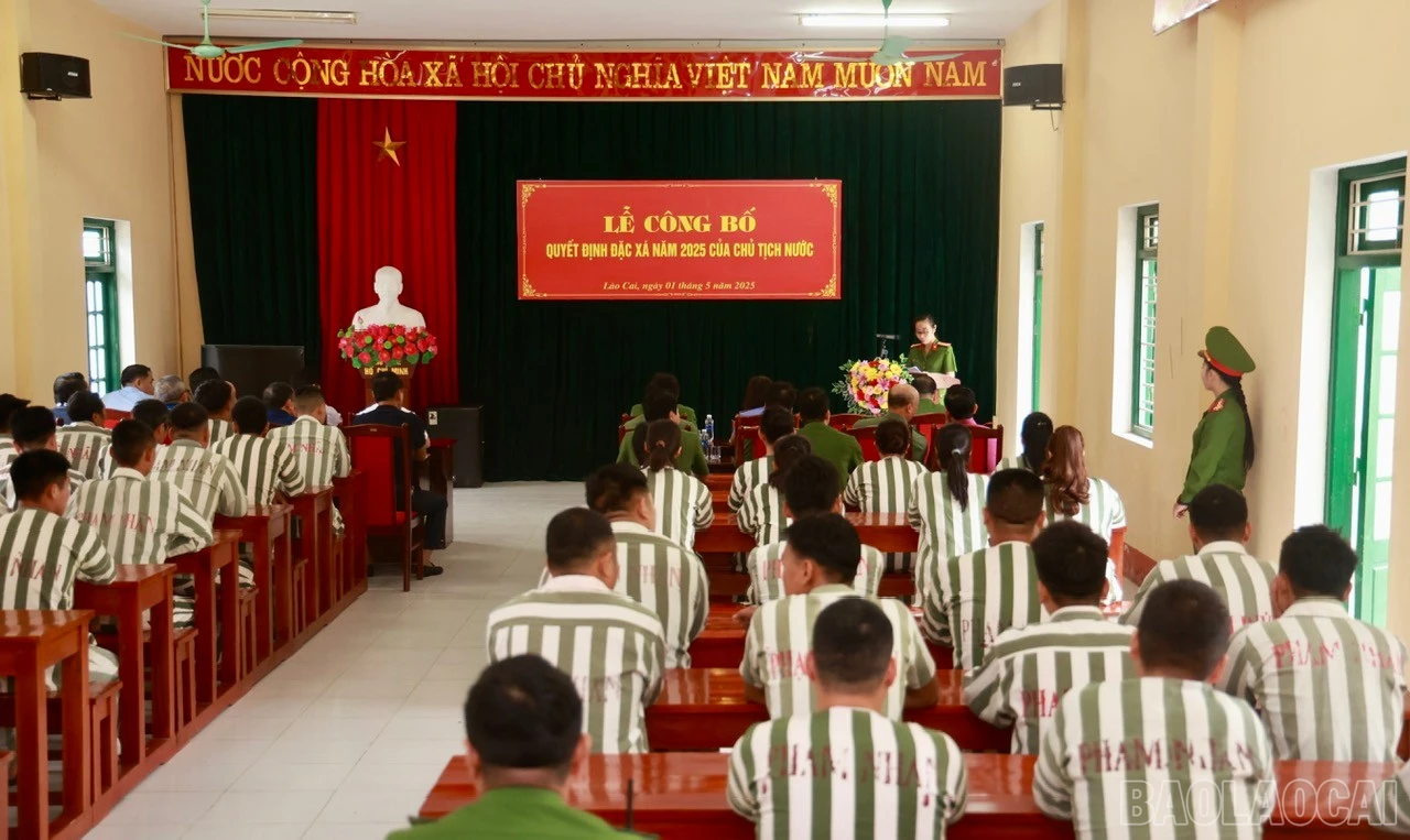 baolaocai-br_z6558309012353-ba61115326b1148fafbcd3e6d0e2185a.jpg