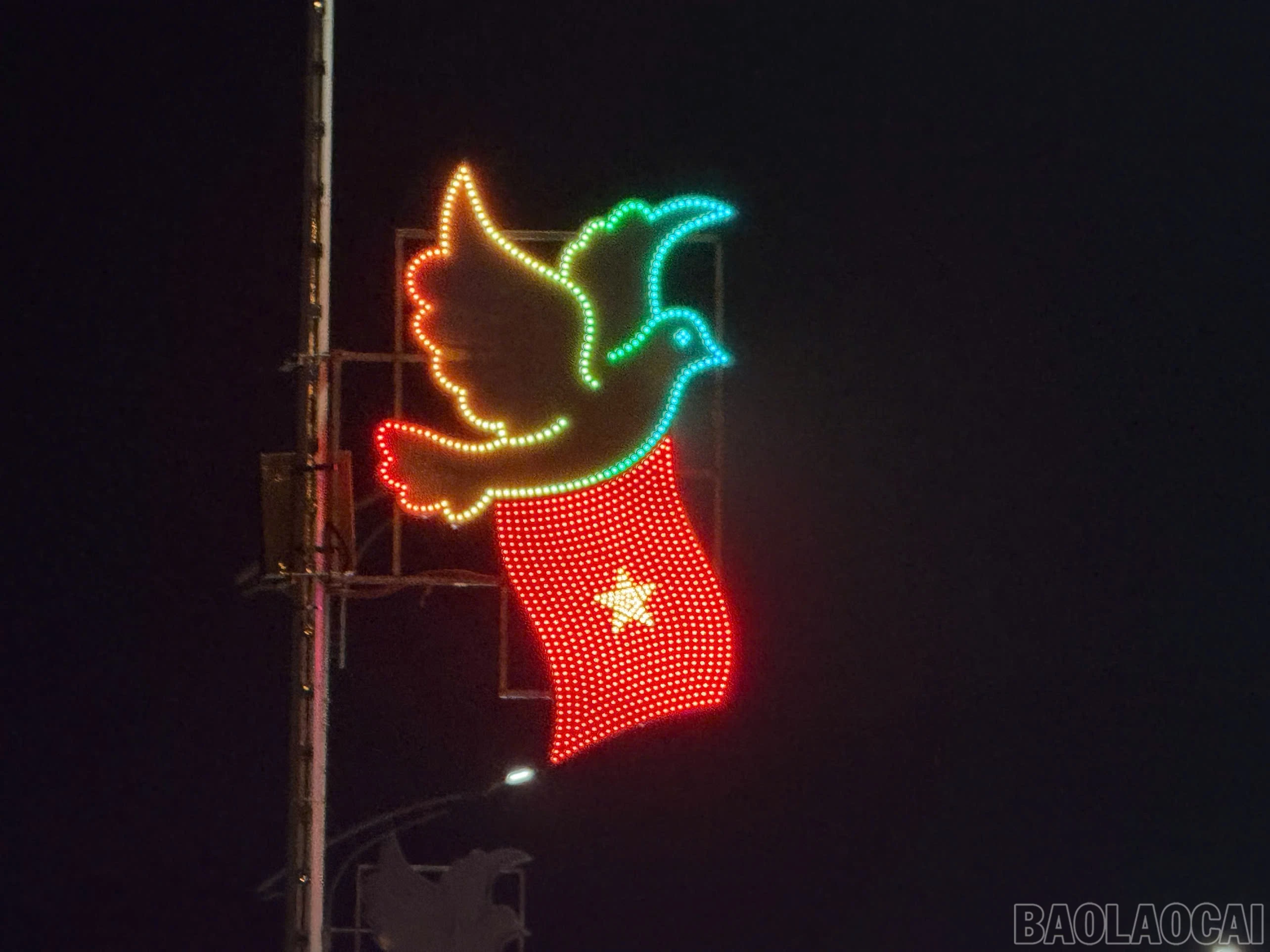baolaocai-br_z6231531858802-3ceeb4945d766805128678aa85d8644d.jpg