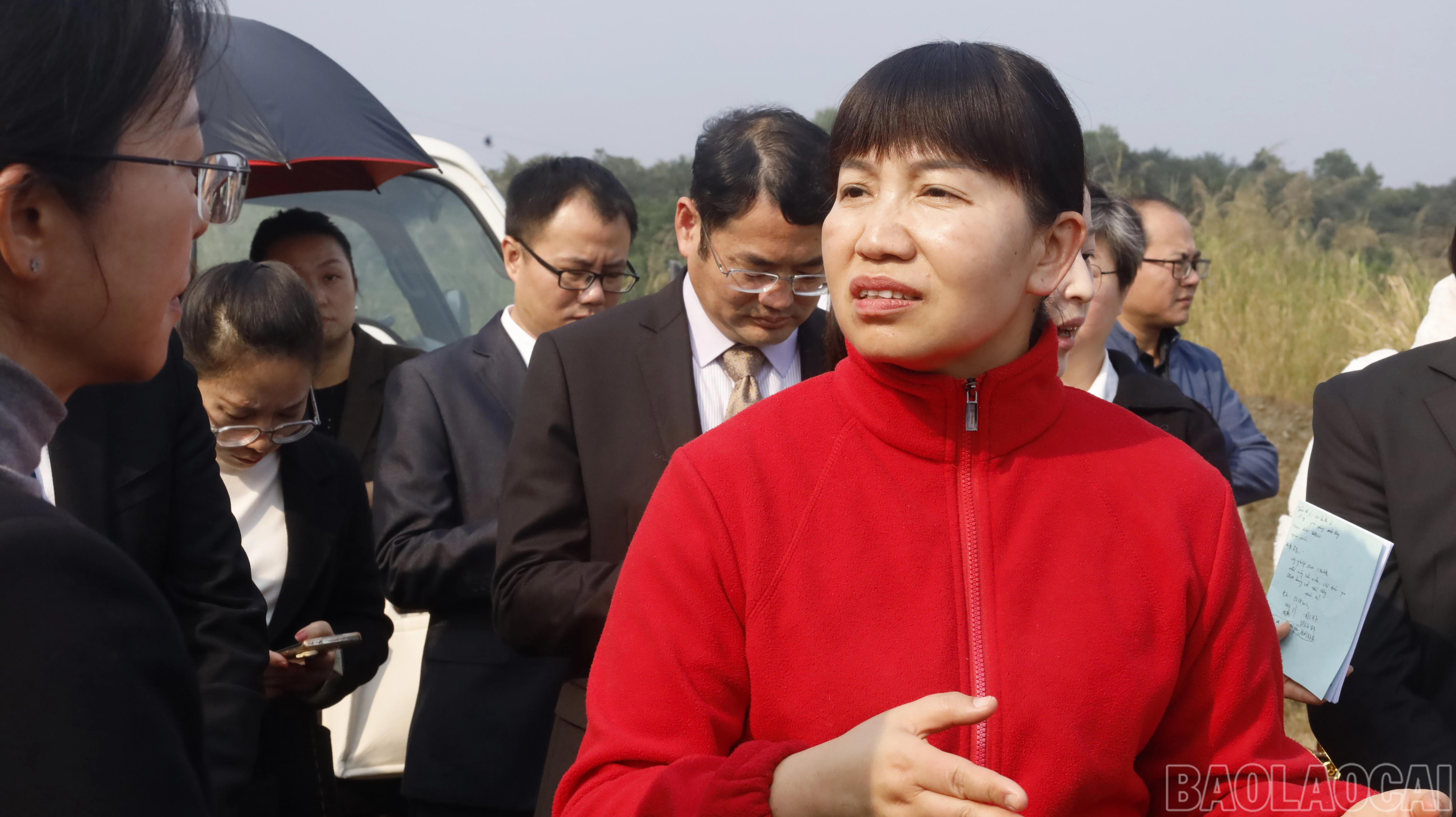 baolaocai-br_mg-9056.jpg