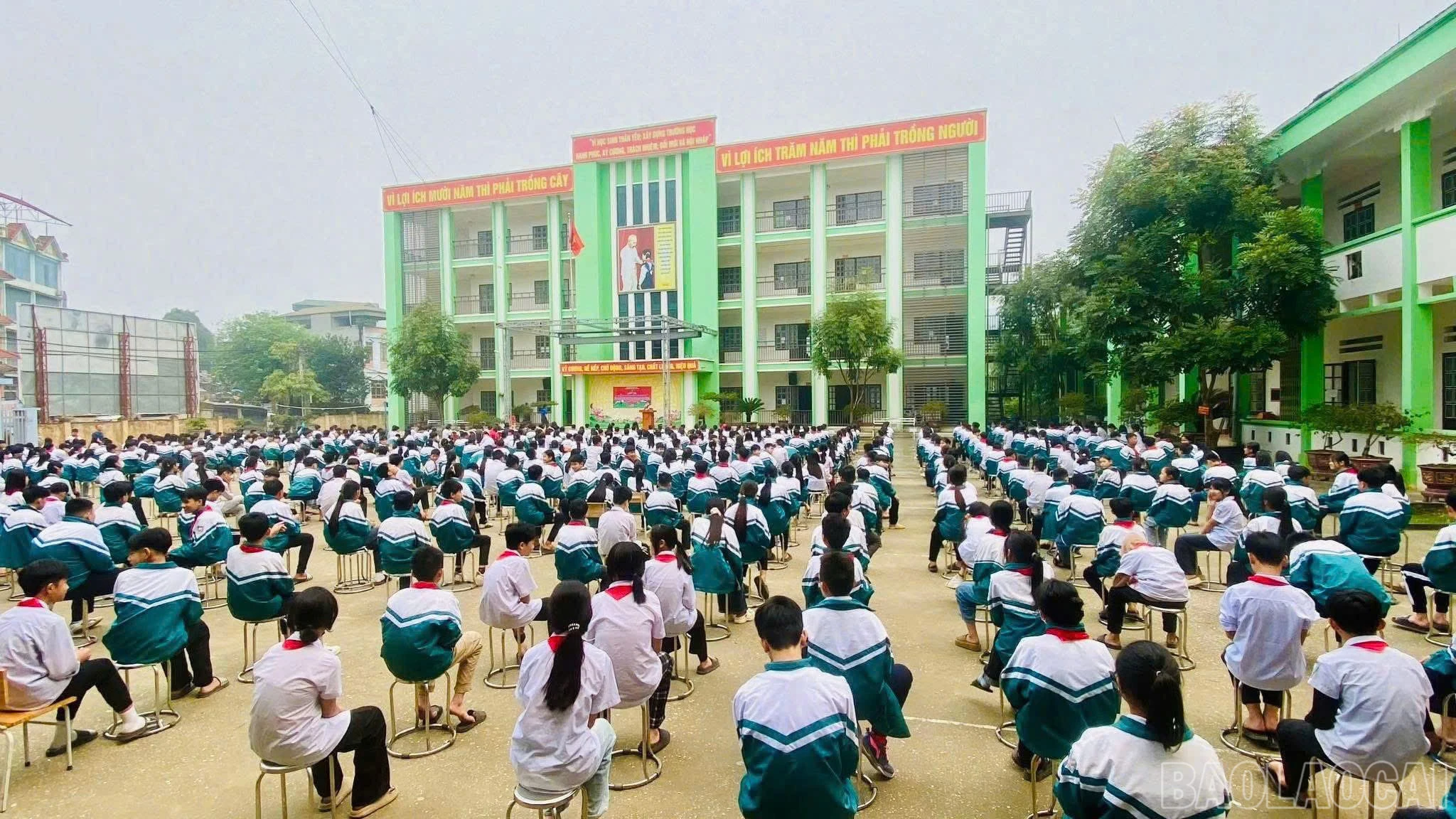 baolaocai-br_z7378771764117-2d64814298db251983e8598769e2a584.jpg