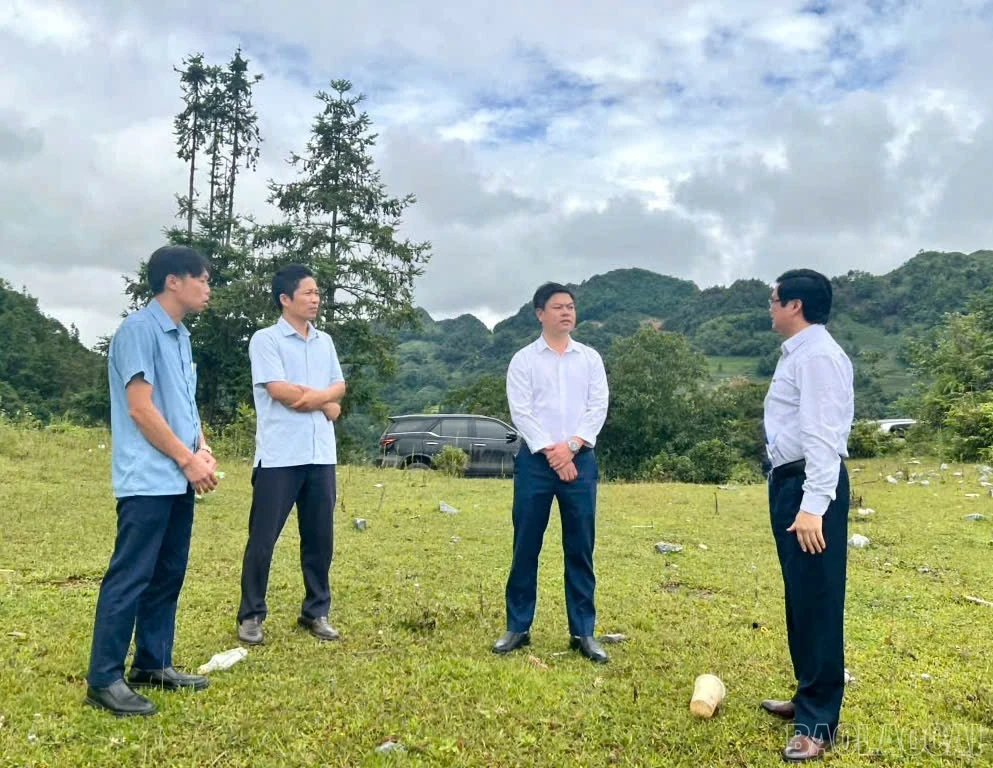baolaocai-br_z6838282227699-bf1af7ff8756c19843f9aa51dd198dc0.jpg