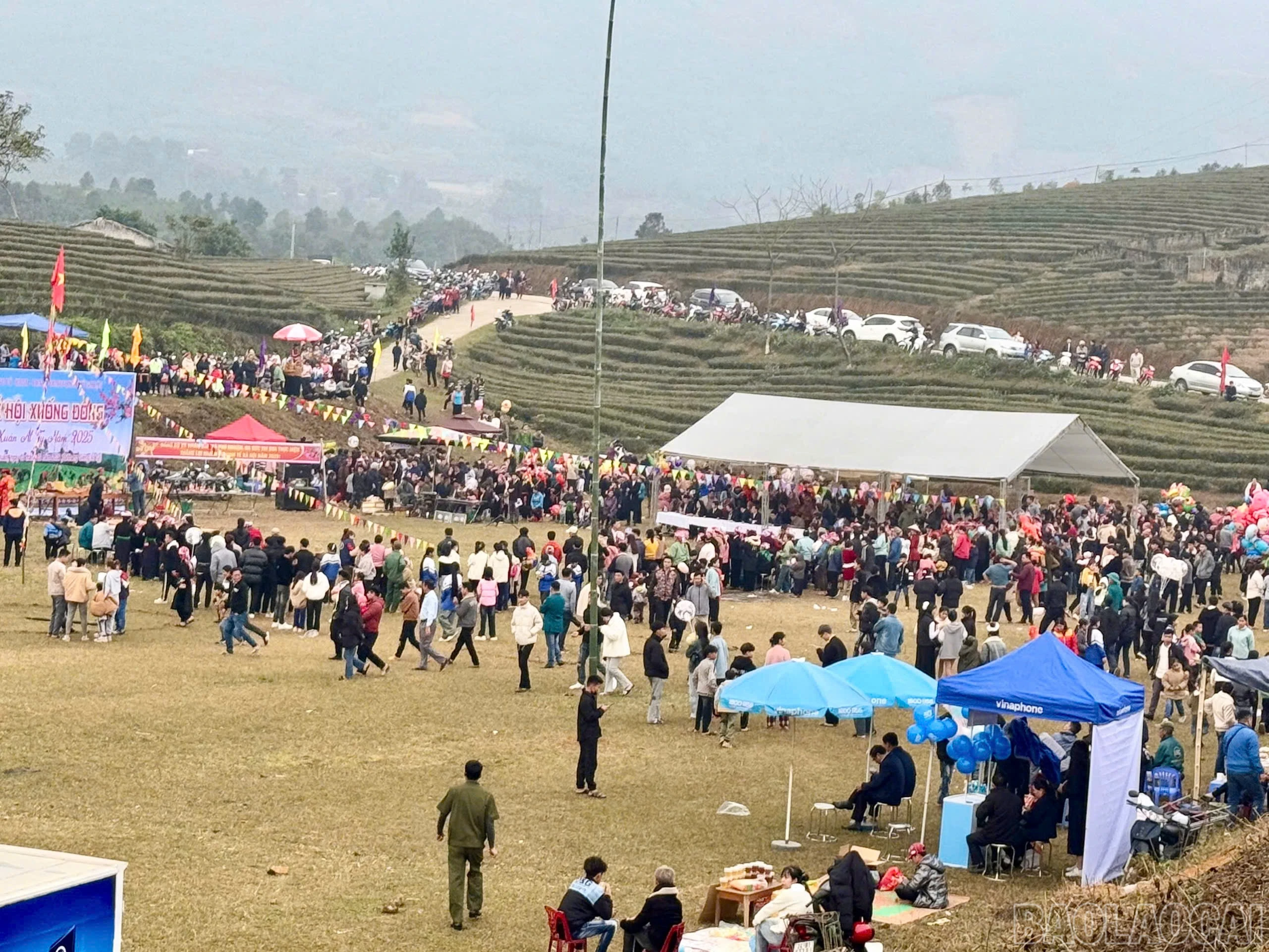 baolaocai-br_z6281604898735-4d132caa1ba7c803ef1843c8bbe72594.jpg