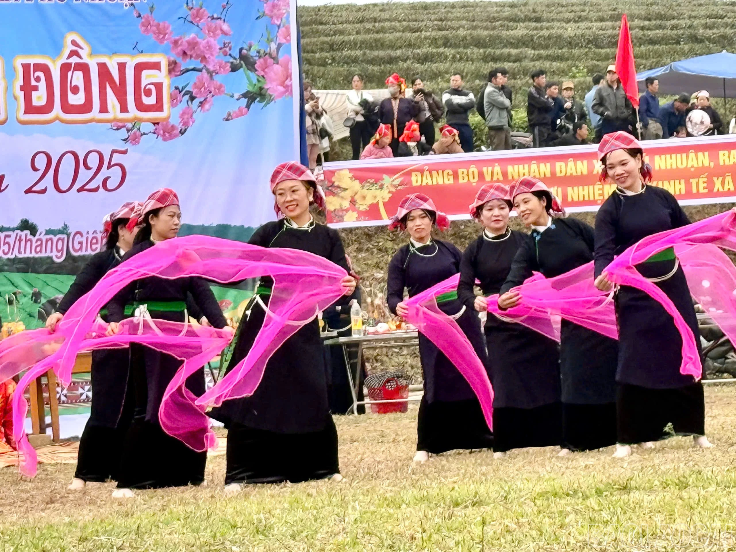 baolaocai-br_z6281611709113-b8ee202a522cf0789275702507f7b98e.jpg