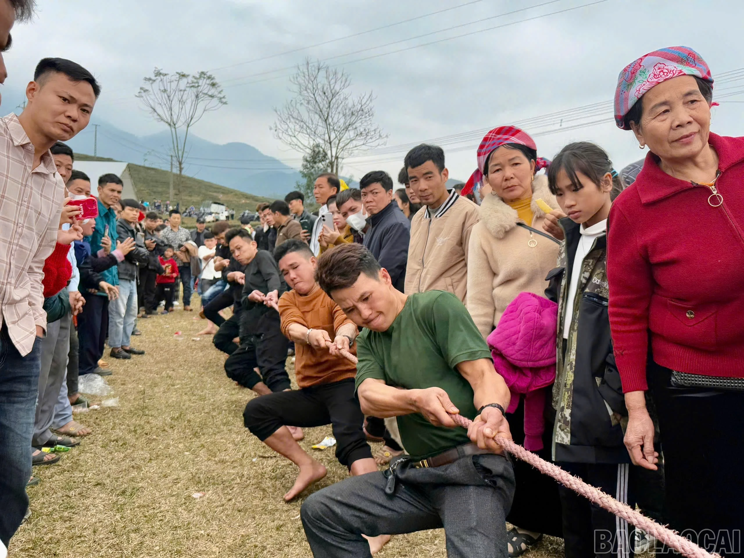 baolaocai-br_z6281611704500-7280194e38f2bd6efa93d801b2055f22.jpg