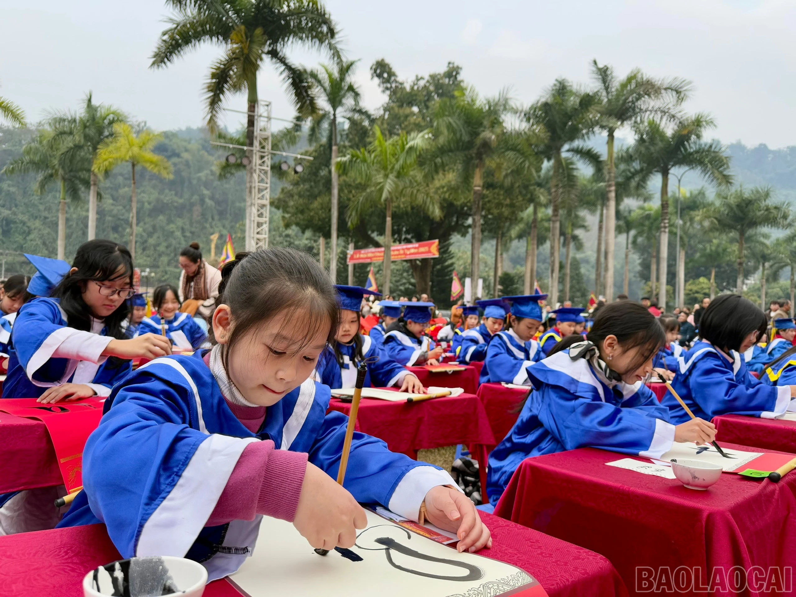 baolaocai-br_z6304278989097-3e809c9fb269b1f1412cd0f555779679.jpg