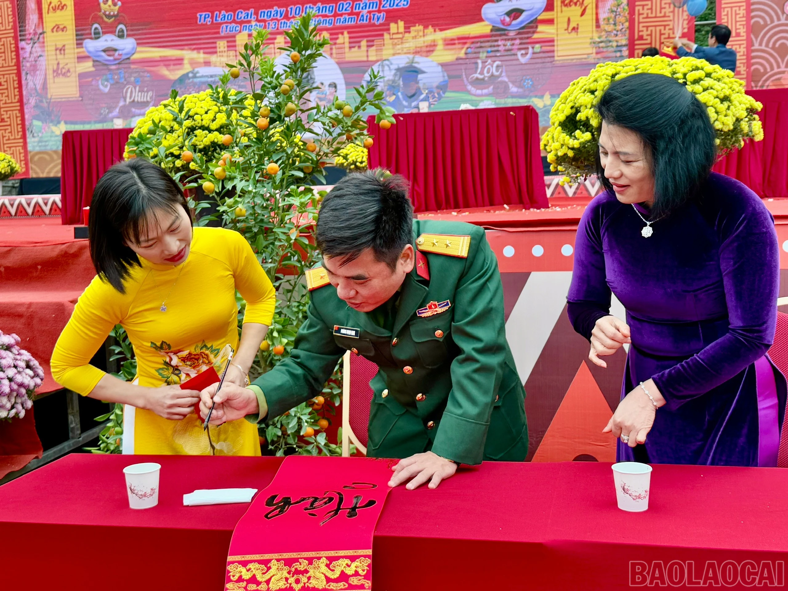 baolaocai-br_z6304282808119-1e793becc7a4993bc0d107ad41468a6e.jpg