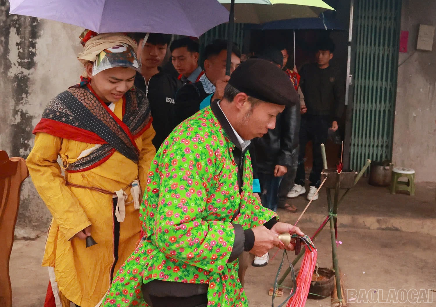 baolaocai-br_z6281657059325-f27d3534f303d74c28d65f5f7009f805.jpg