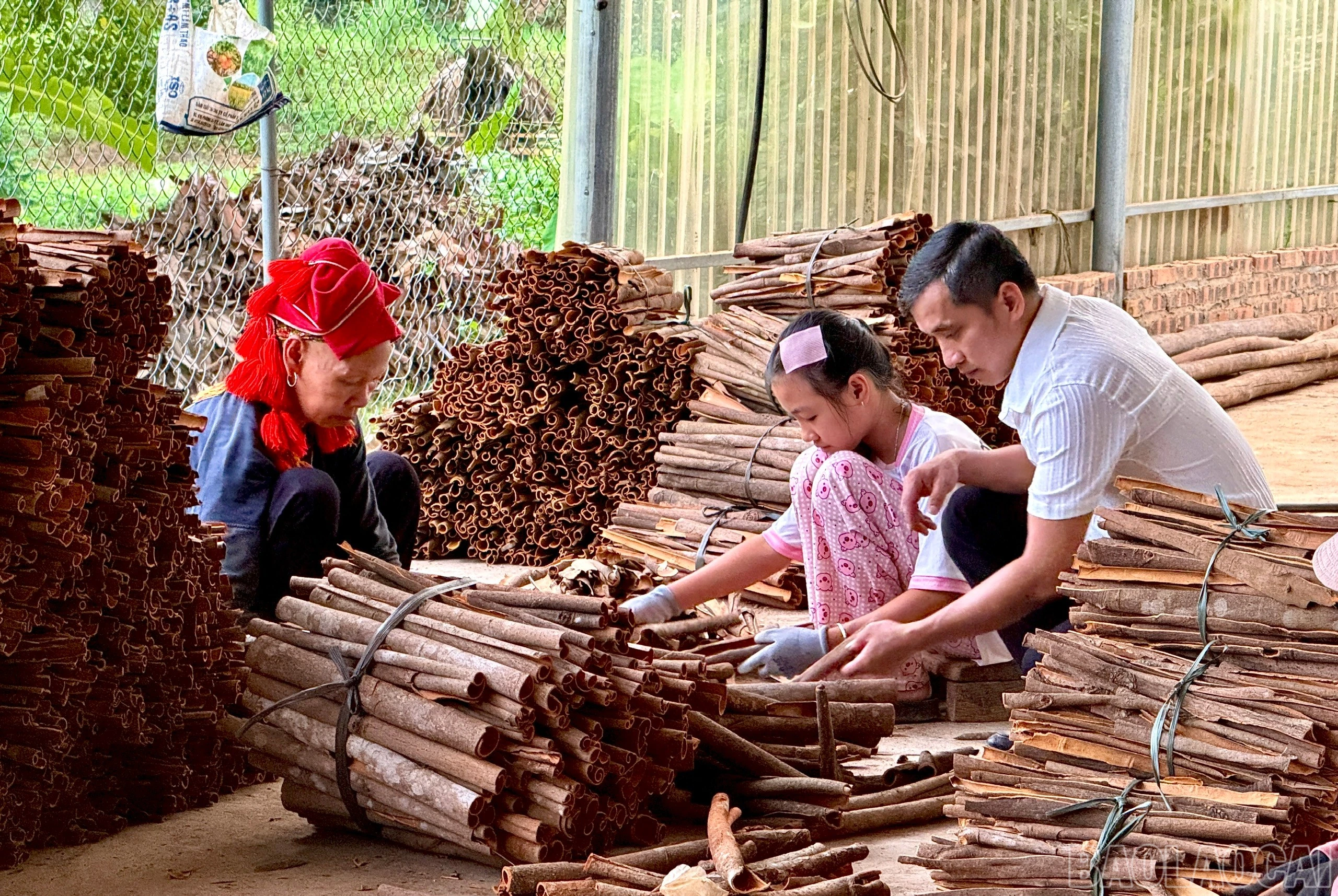 baolaocai-br_z7365377953429-86f754266925db021caeb12f980ee921.jpg