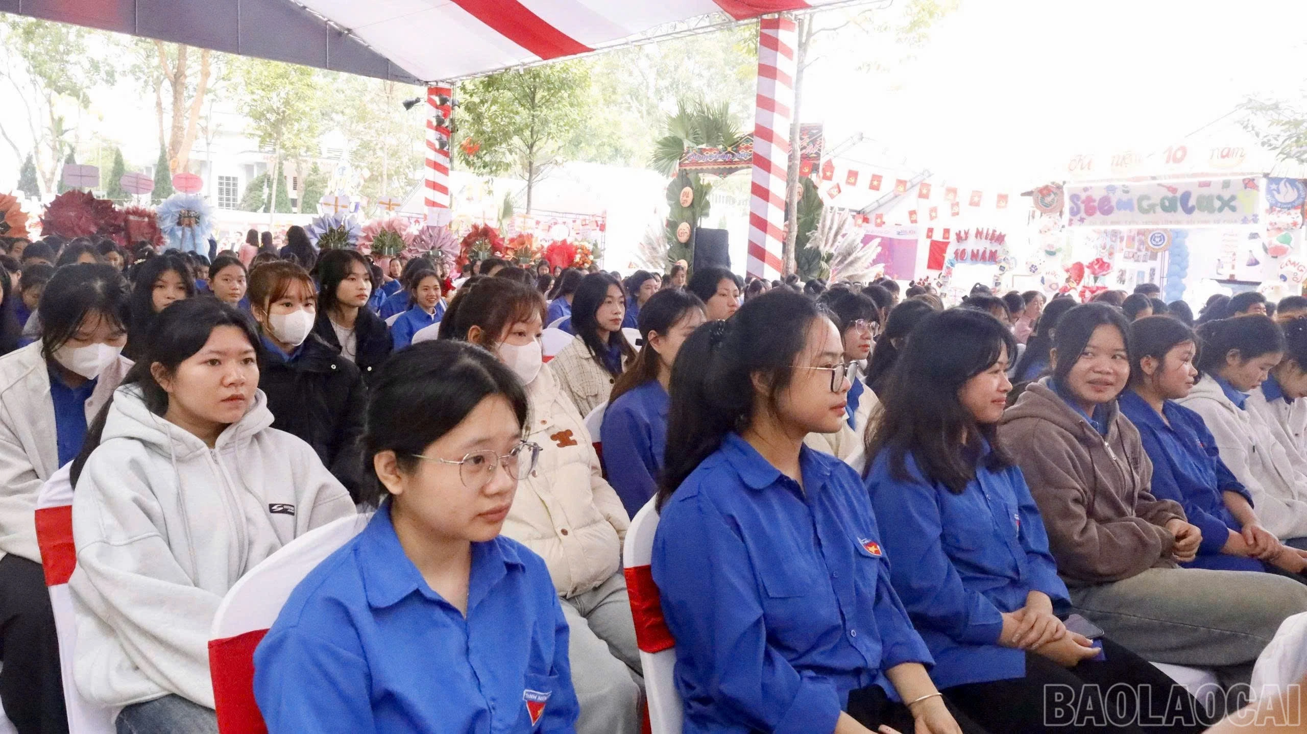 baolaocai-br_z7360025479596-3c10c9f9bde0f3ff35ca194c55f37ad5.jpg
