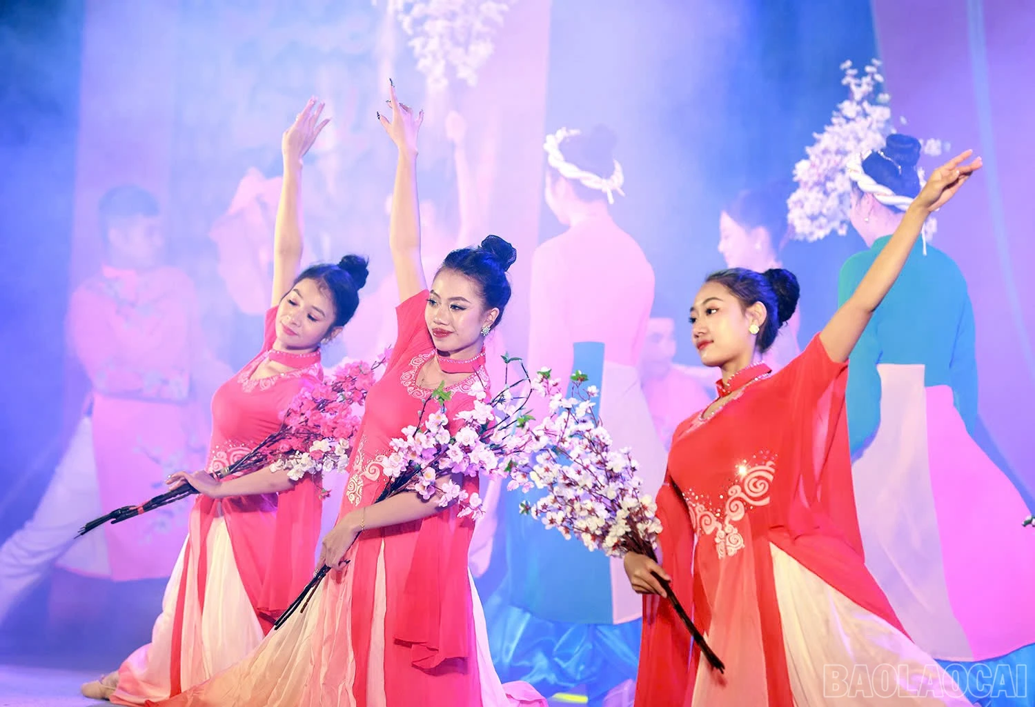 baolaocai-br_z6270685448046-d53b8ab695c4f36eebe92e34b775dc4d.jpg