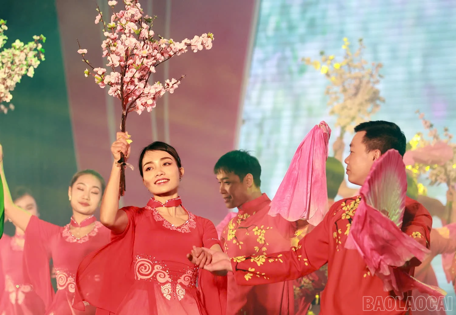 baolaocai-br_z6270685448029-d7e751ecd9d17a43030197b917dad047.jpg