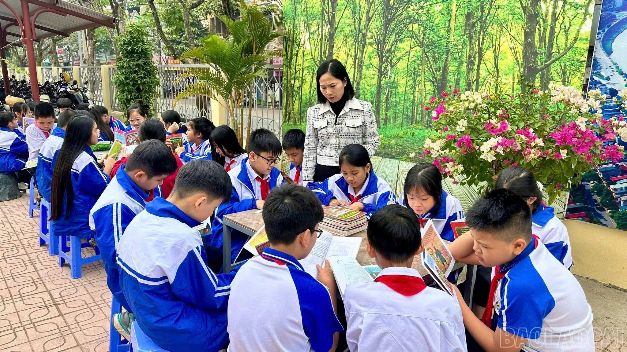 baolaocai-br_z7354375264441-b8937c201f4ed200196dc38056810a9f.jpg