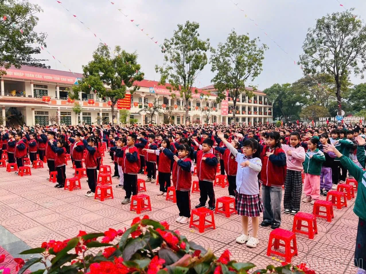 baolaocai-br_z7354375206500-039a5e66e75e048032744dc3b594ca03.jpg