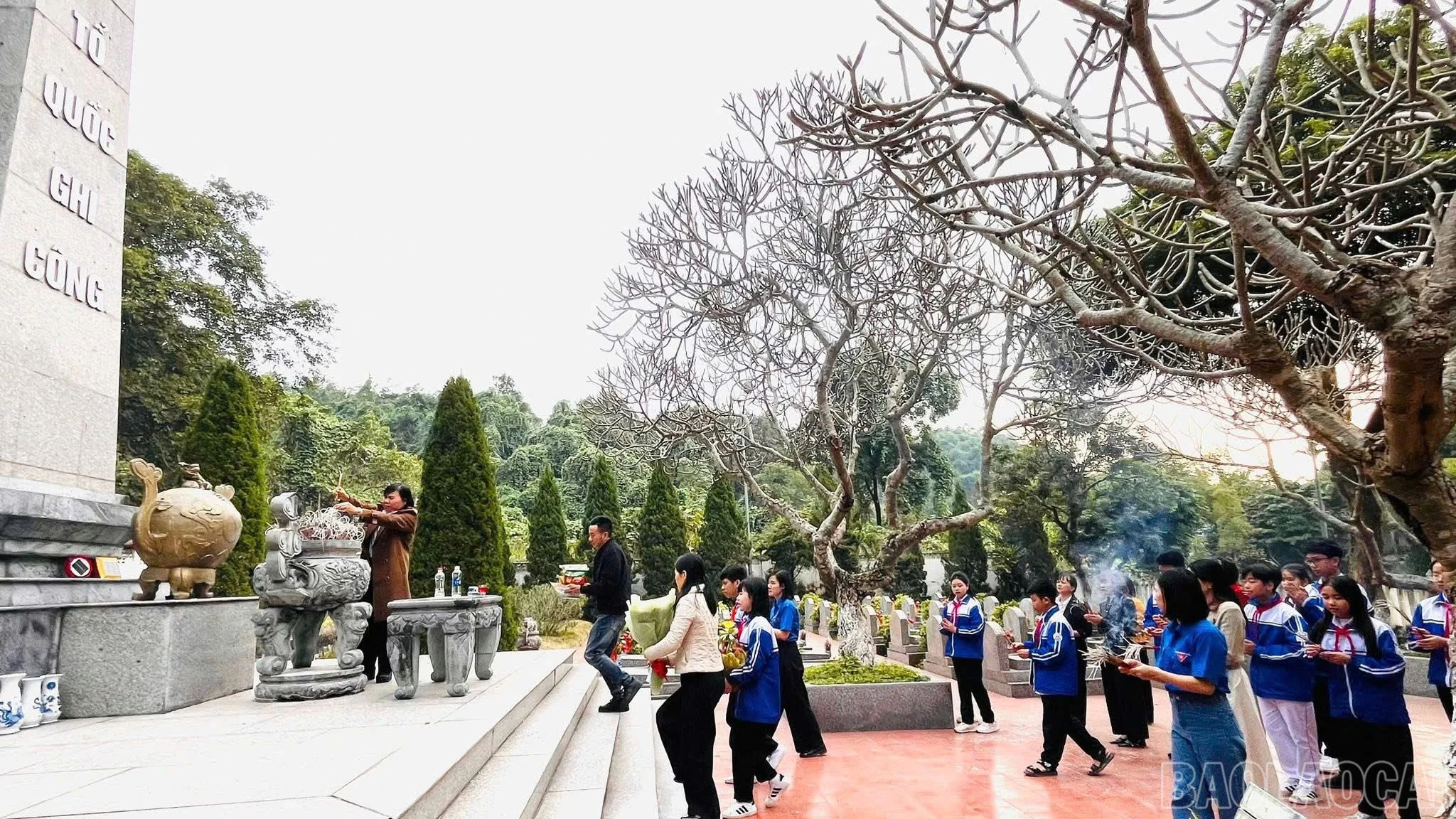 baolaocai-br_z7354375271647-3d629b08dafb442d9bd9699453529a18.jpg