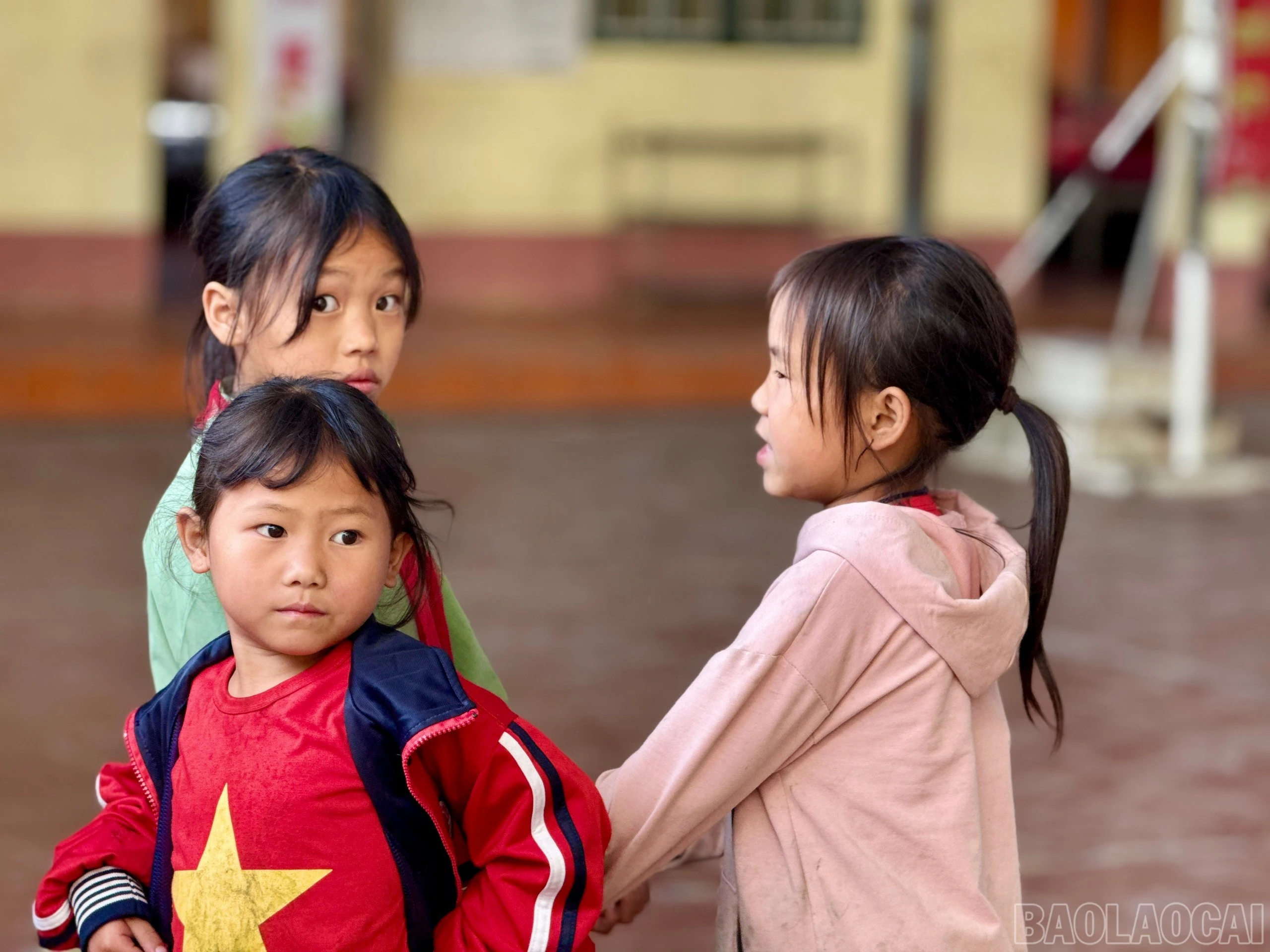 baolaocai-br_z7358041296020-a194e99d5df7f1251eb7696b6d7b8569.jpg