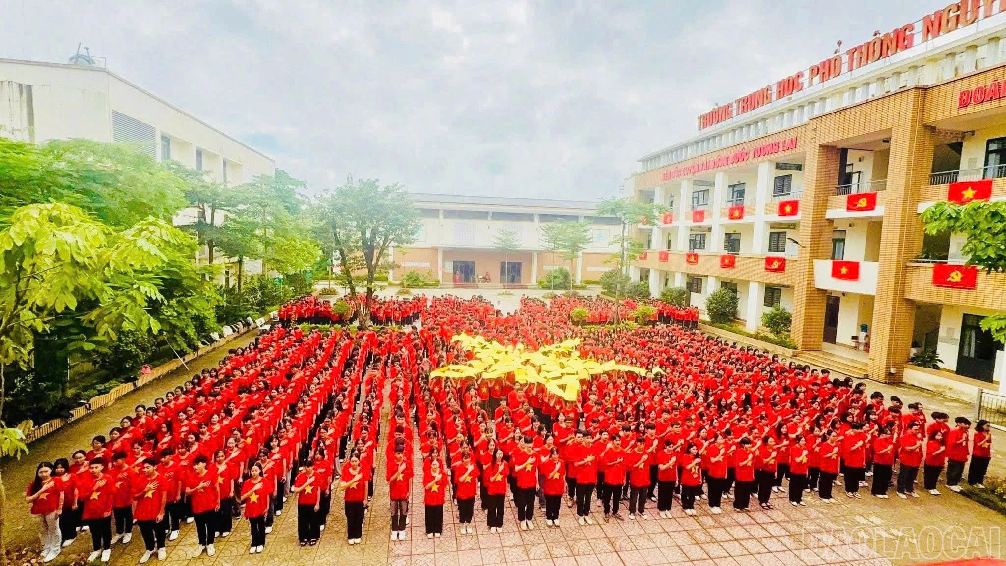 baolaocai-br_z6970216164629-d327783ae7c40f544d7c5a40911532d1.jpg