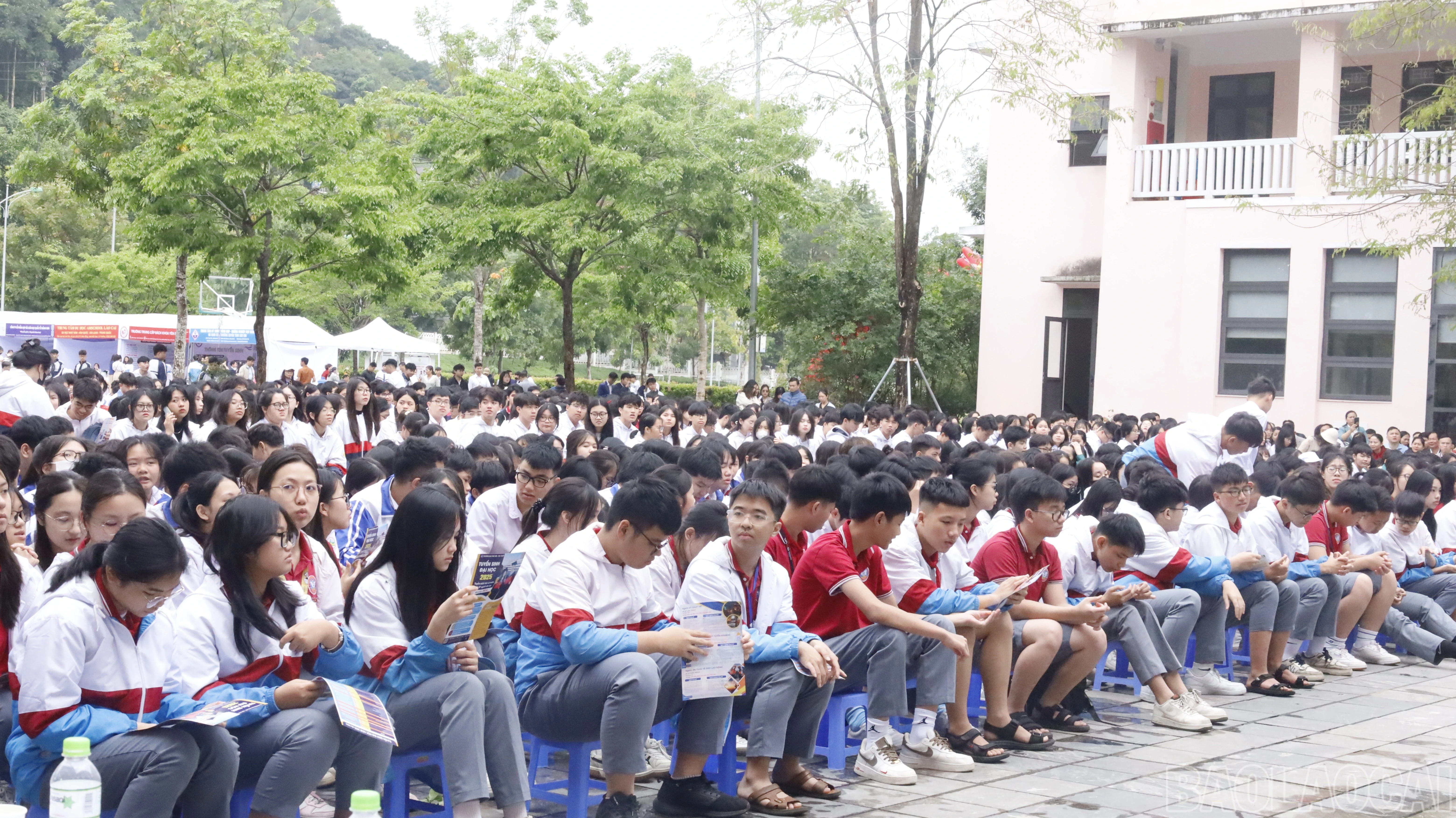 baolaocai-br_mg-9908.jpg