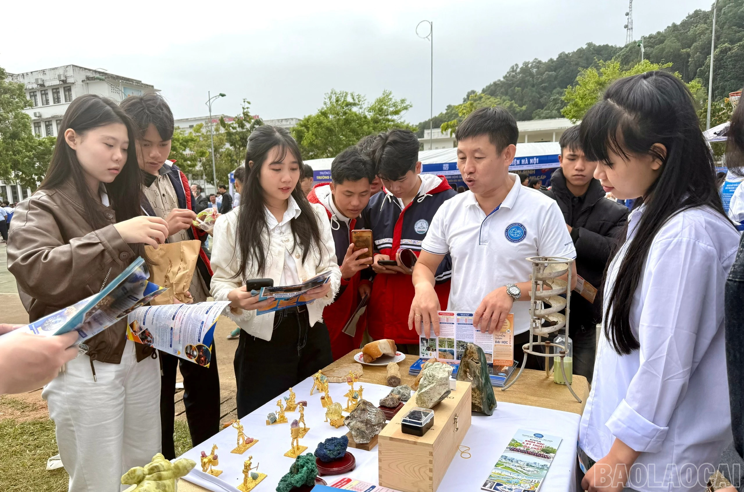 baolaocai-br_z6500295858217-5c23003af508495e0e4f6f3d65c46eea.jpg