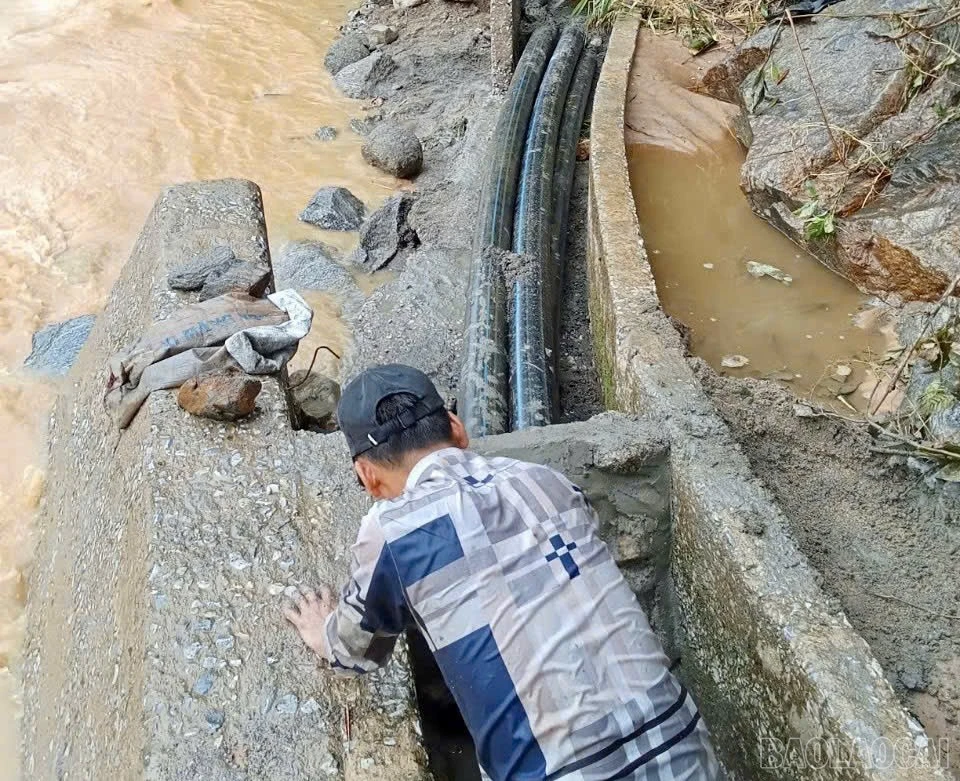 baolaocai-br_z7135144412075-981559751b8f5ca6ff41e3a816824665.jpg