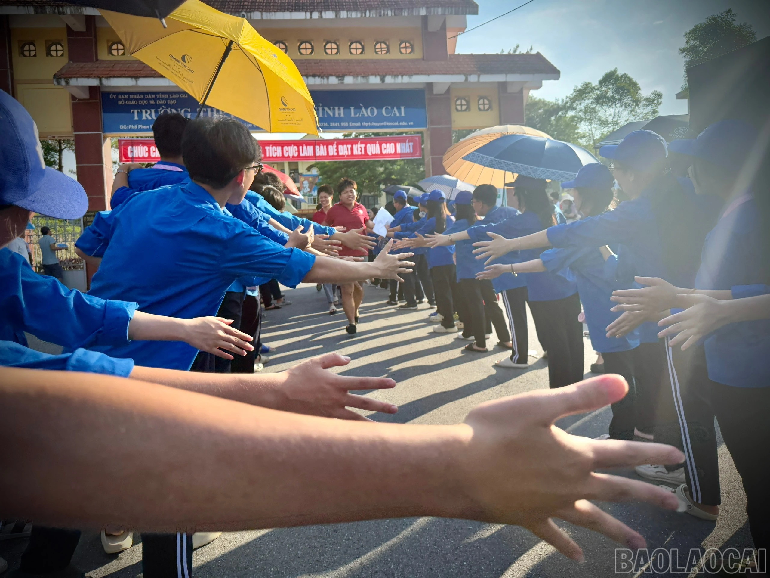 baolaocai-br_z6677315932687-21a11d083e857fddf41d9f8965c6c66f.jpg