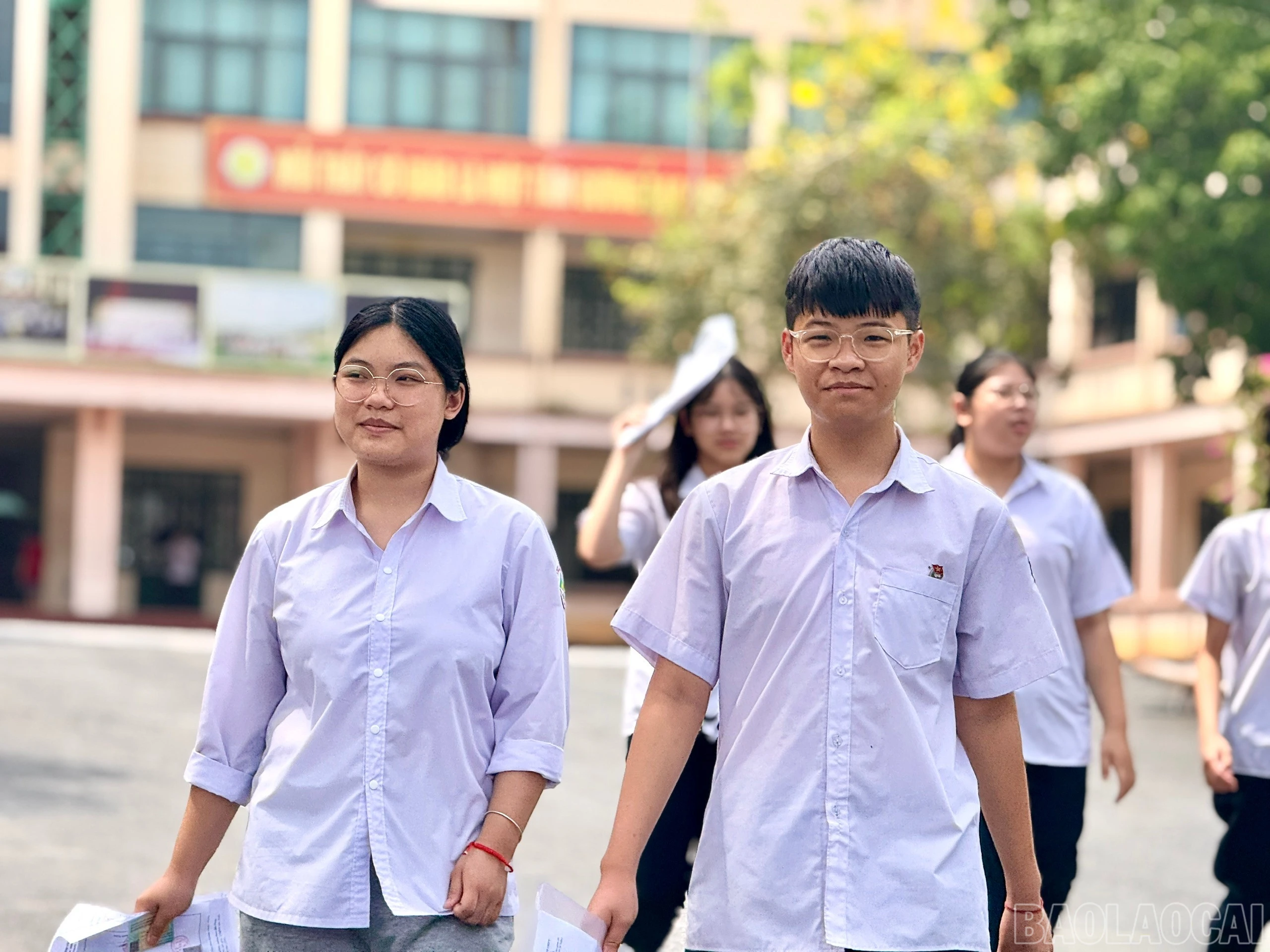 baolaocai-br_z6677281795490-73aa52f9c10d17898e10a0d8226a9ba4.jpg