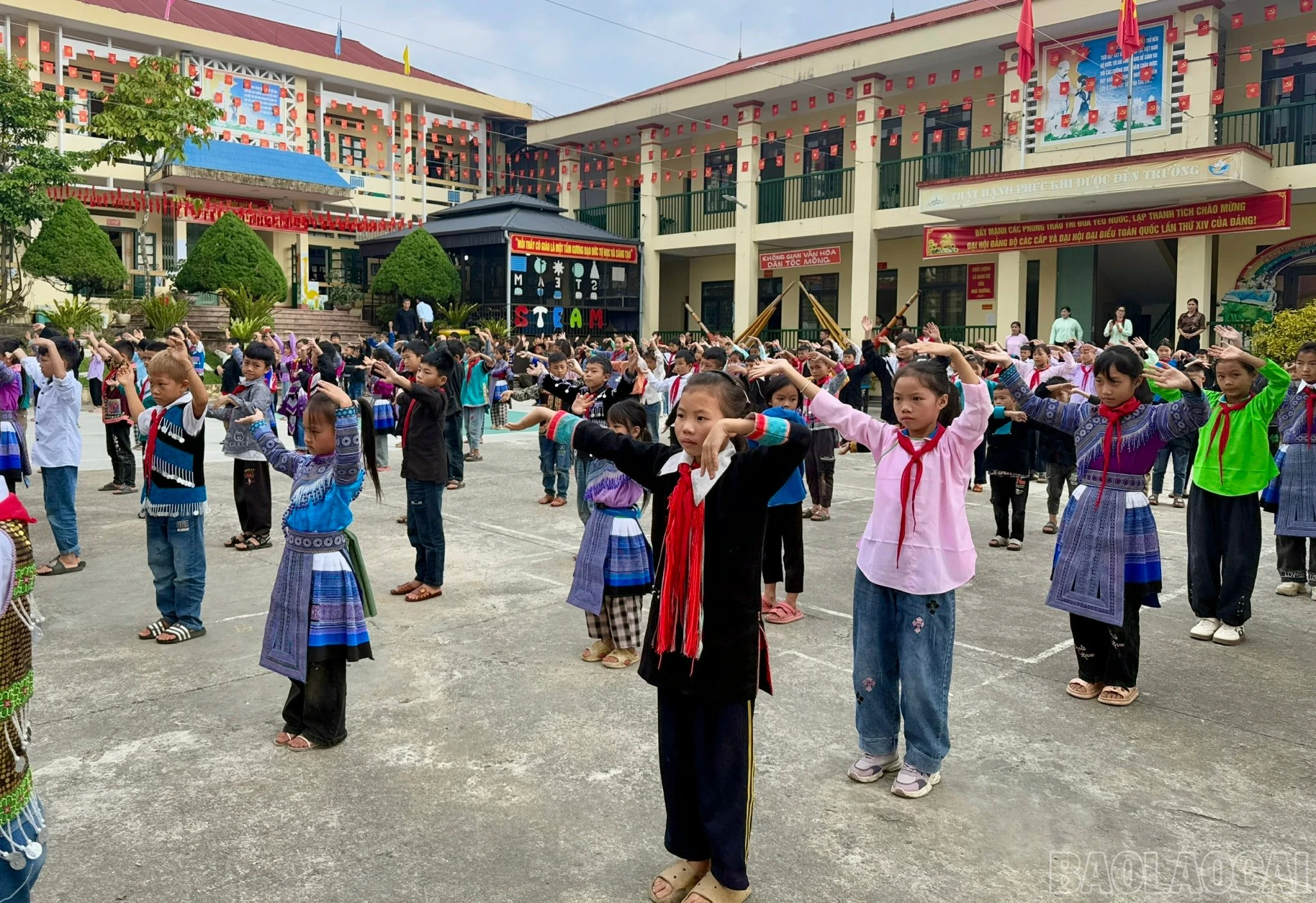 baolaocai-br_z7175040877298-0d74198b0ce9941407cbd781bf6ed927.jpg