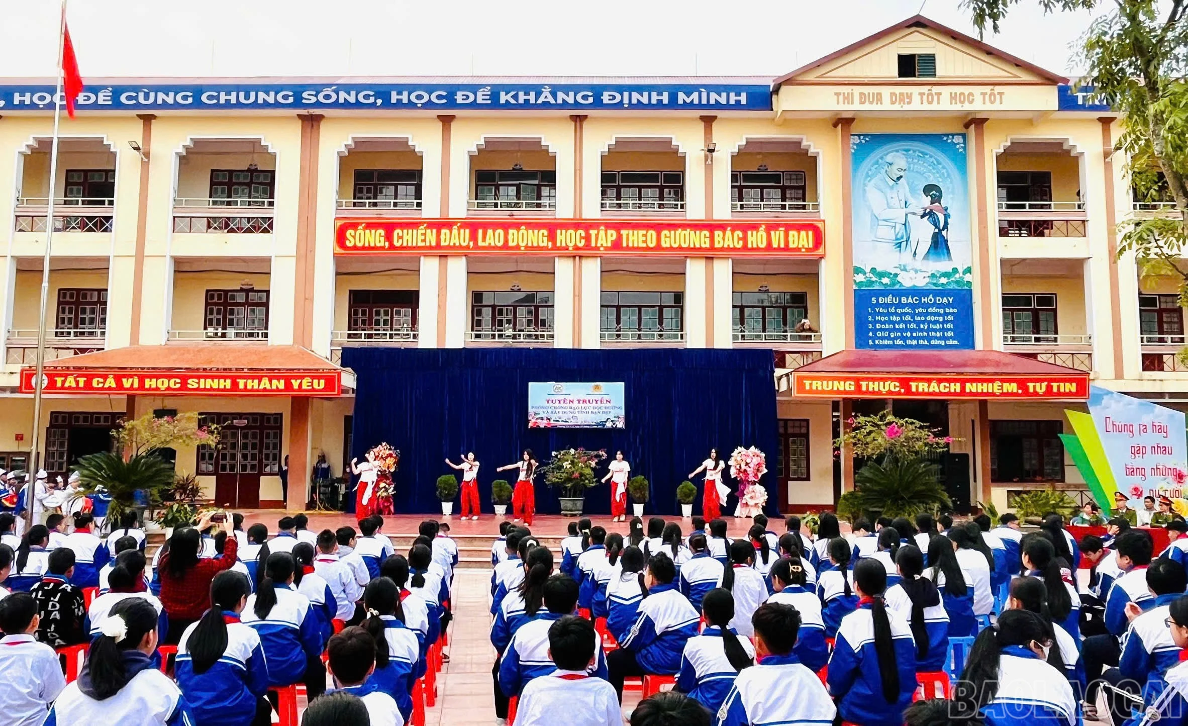 baolaocai-br_z7282403700727-d1d244a1882c58582f3afc2863a86d3d.jpg
