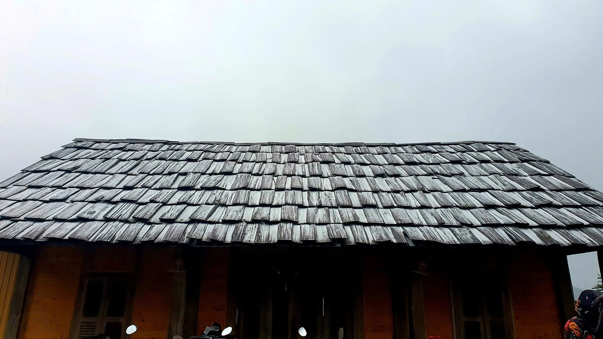 baolaocai-tl_z6267035477825-f4cea572cbfb803f95504150ad83658b.jpg