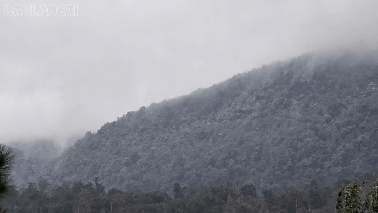 baolaocai-tl_z6267046510672-0bf768c6cc6e49b66e5f06df69ebb0a3.jpg