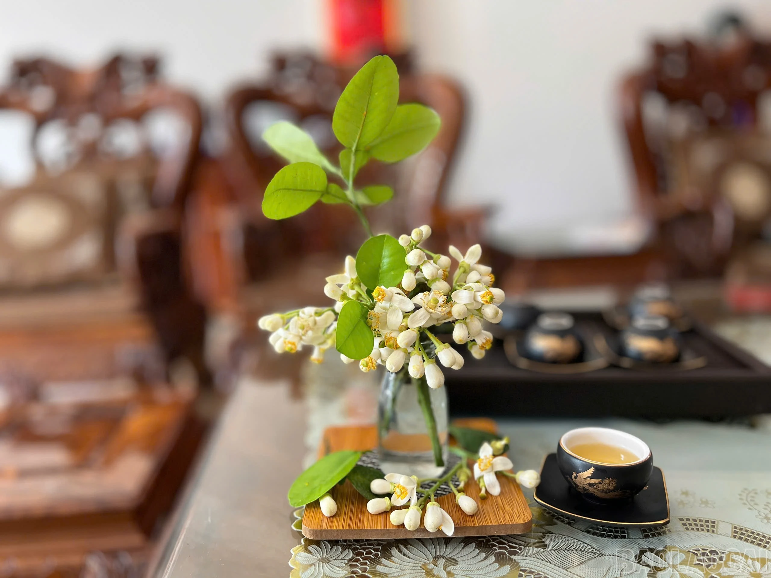 baolaocai-br_z6432760061994-281919724d3c46ad2ae076d22ef991a3.jpg