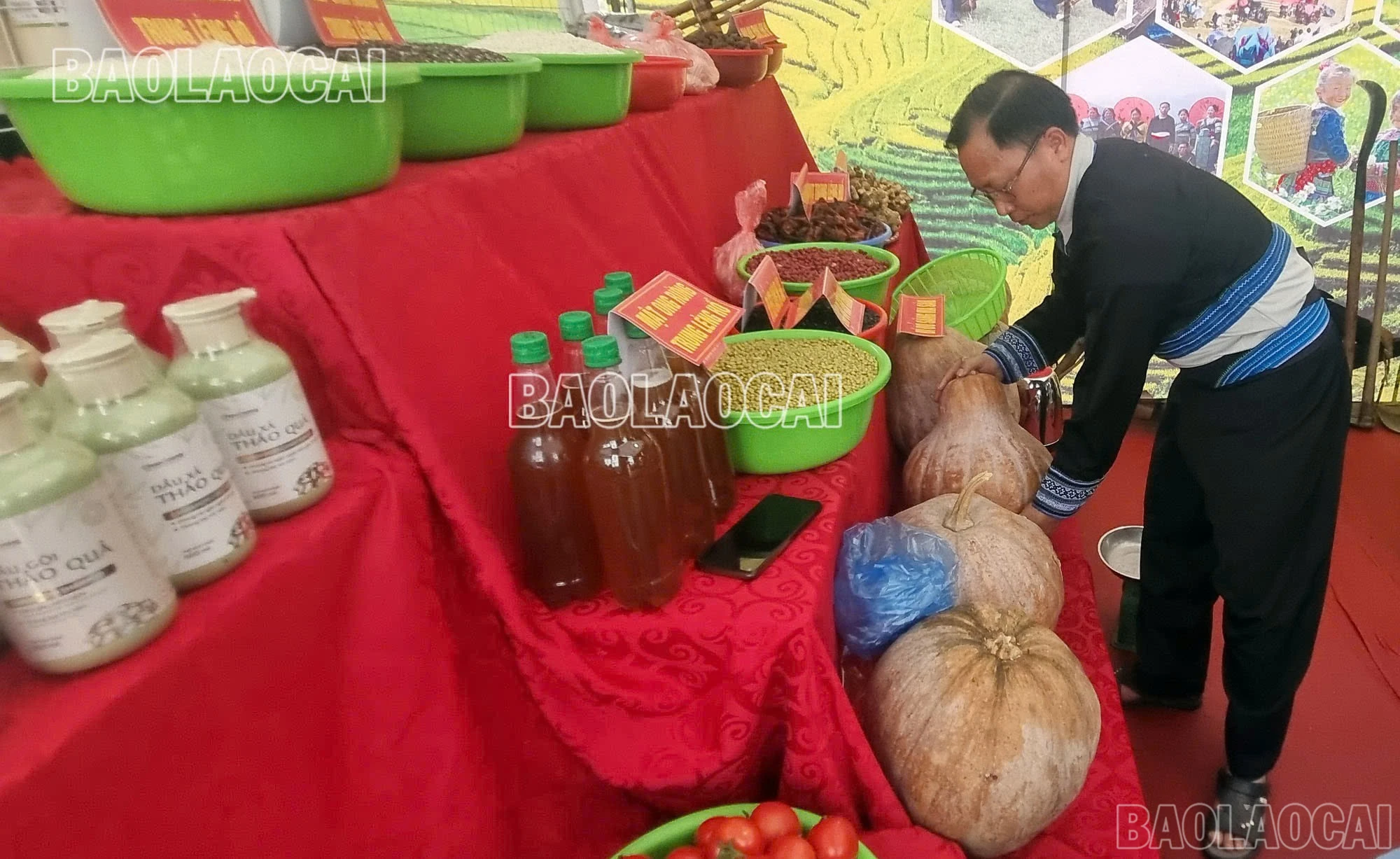 baolaocai-br_z6479060337925-a07291b4fe503dfe4c9c9f299c4b727d.jpg