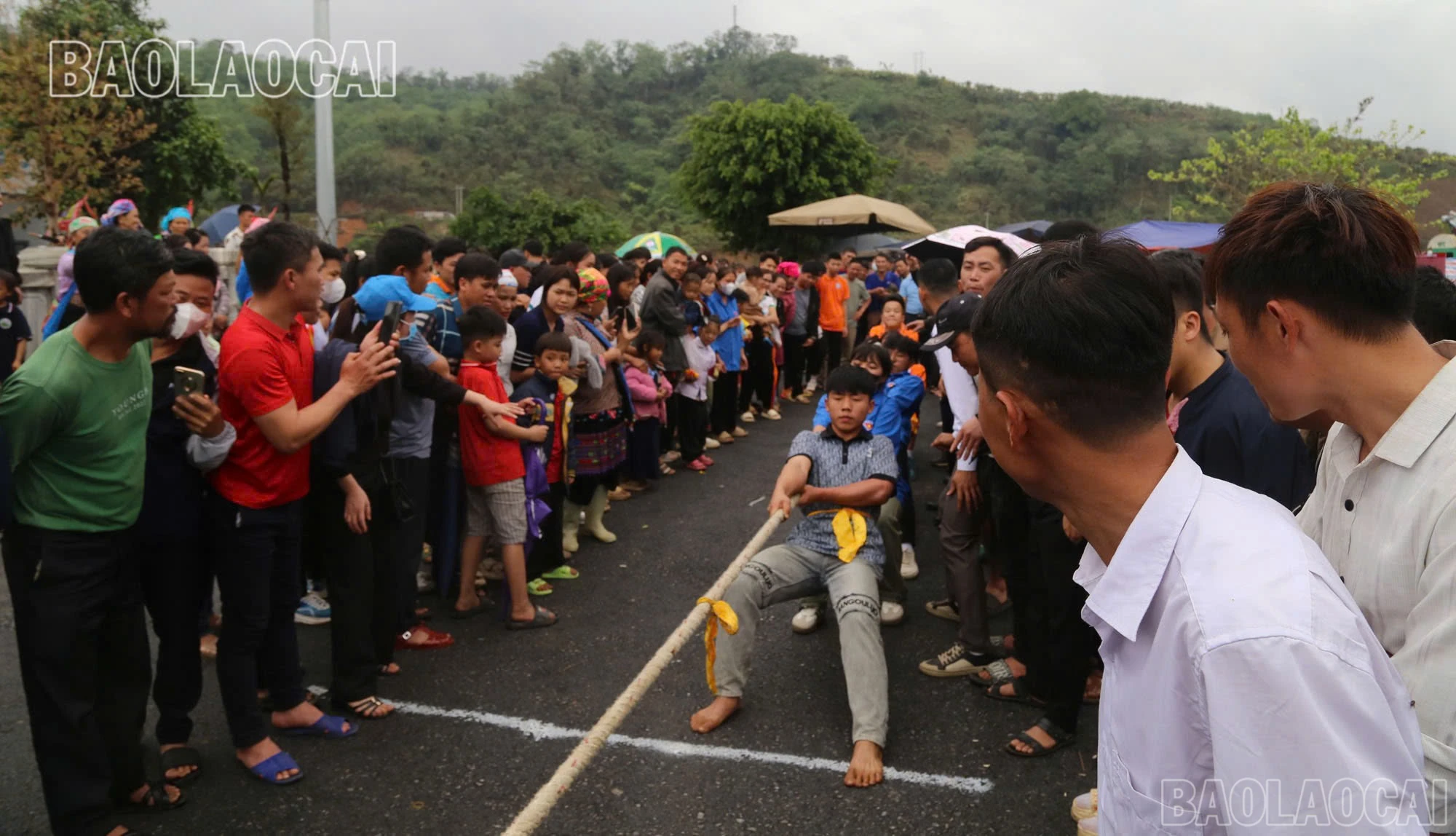 baolaocai-br_z6479023847178-a2fa6b653aacfd4a16f2d331b9f675b6.jpg