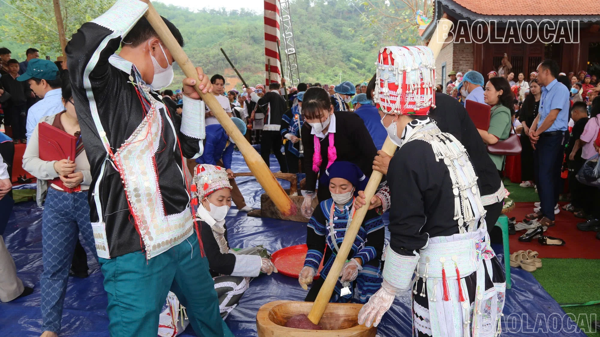 baolaocai-br_z6479024370842-92f6c3b45ffff96a14c1e850c7dfe145.jpg