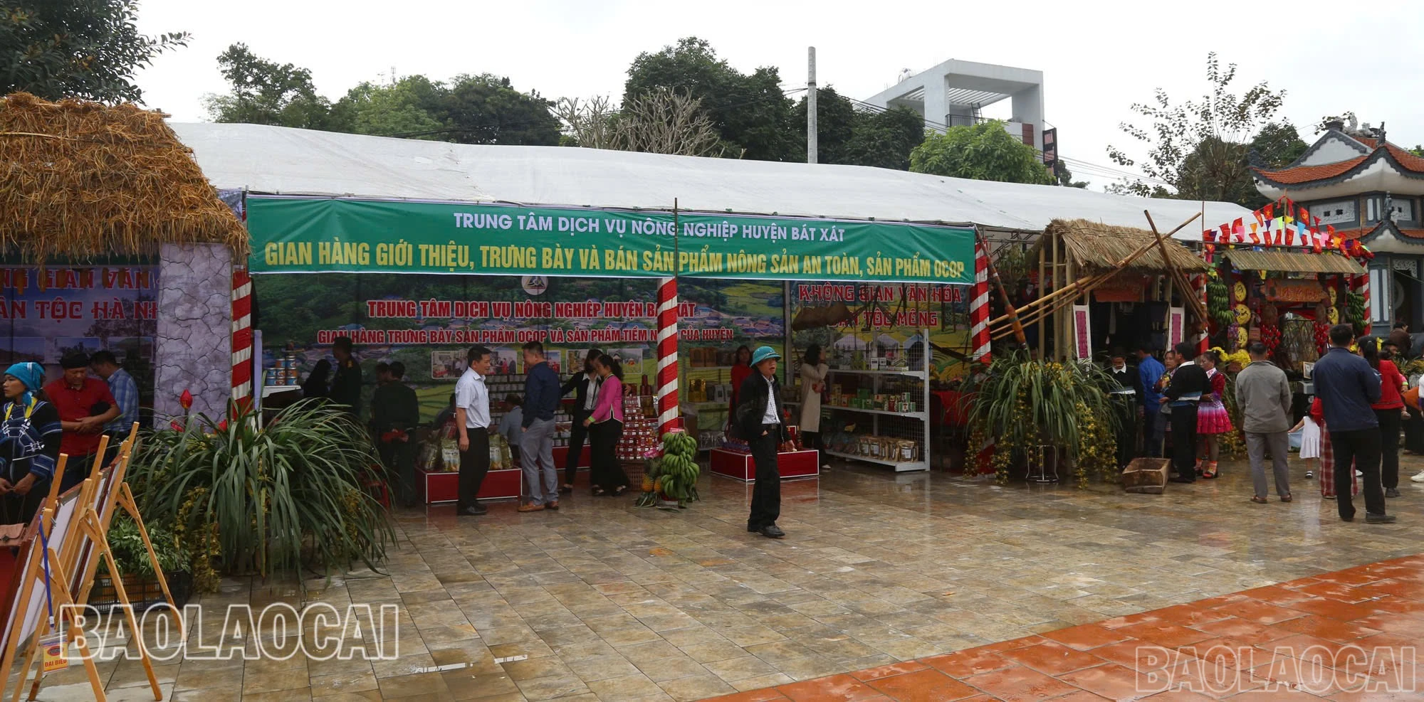 baolaocai-br_z6479060172652-eb67e7d973cc1ef487741b8492fca225.jpg